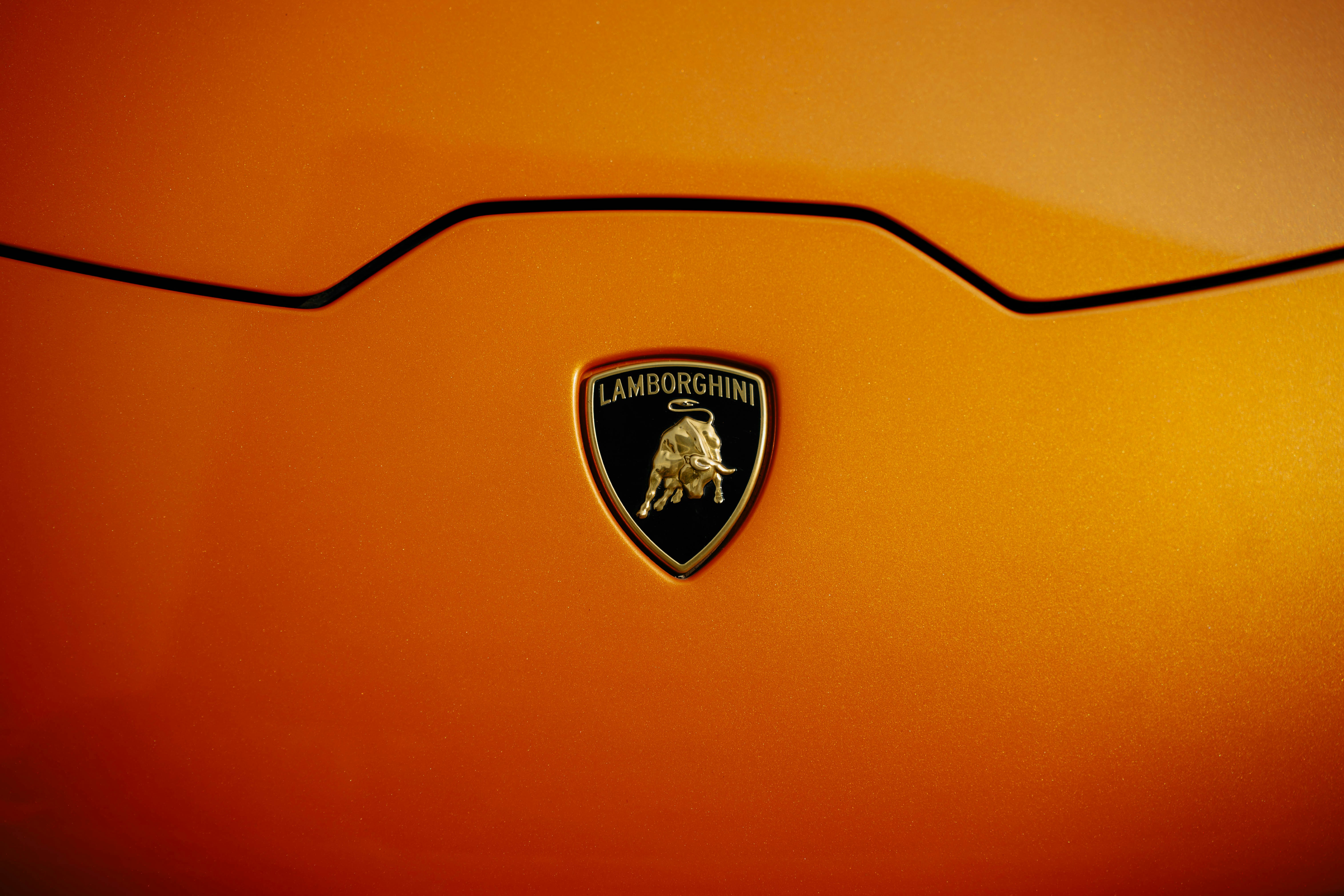 Lamborghini emblem on an orange car