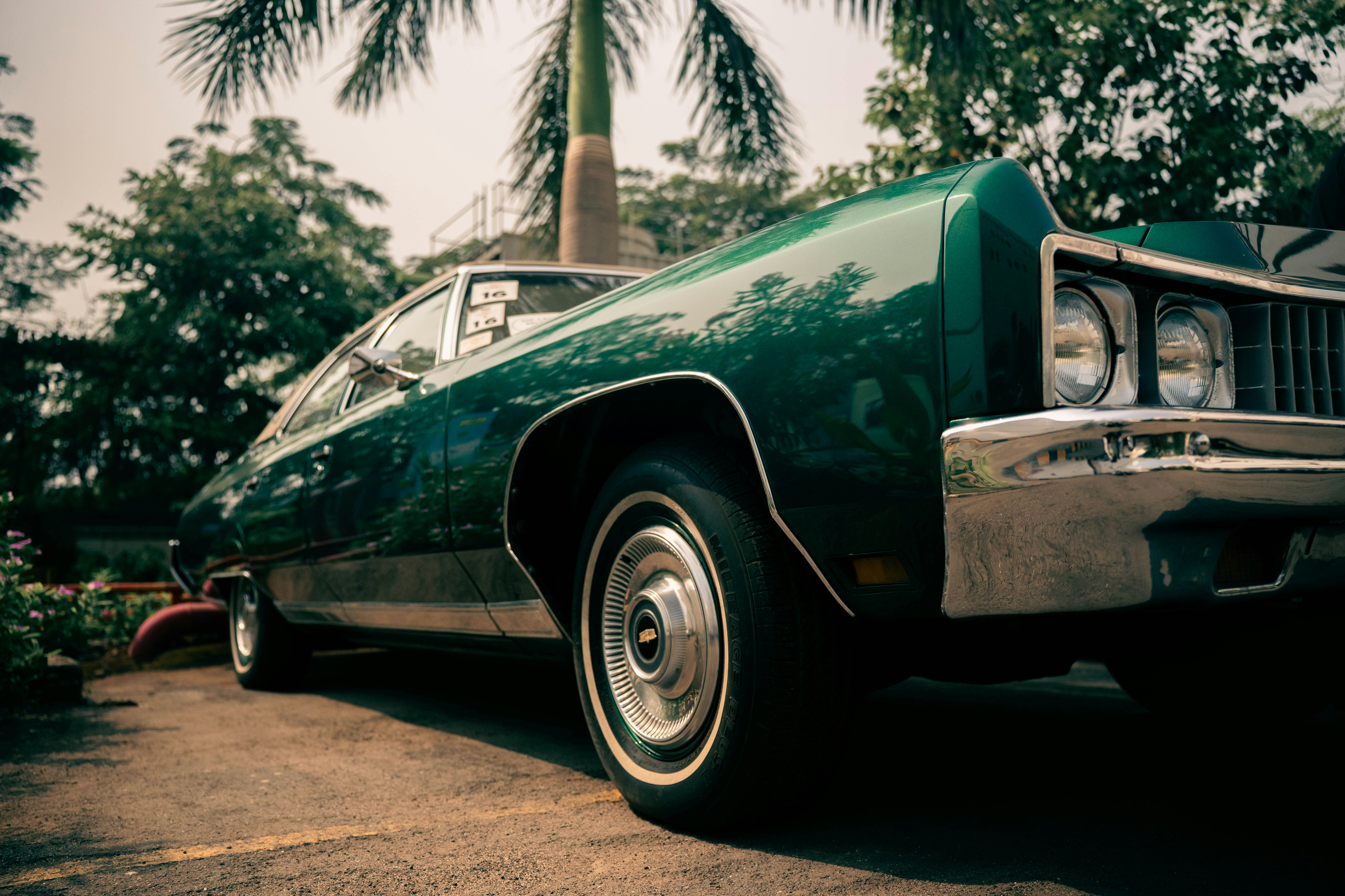 Photo by blibityblabity