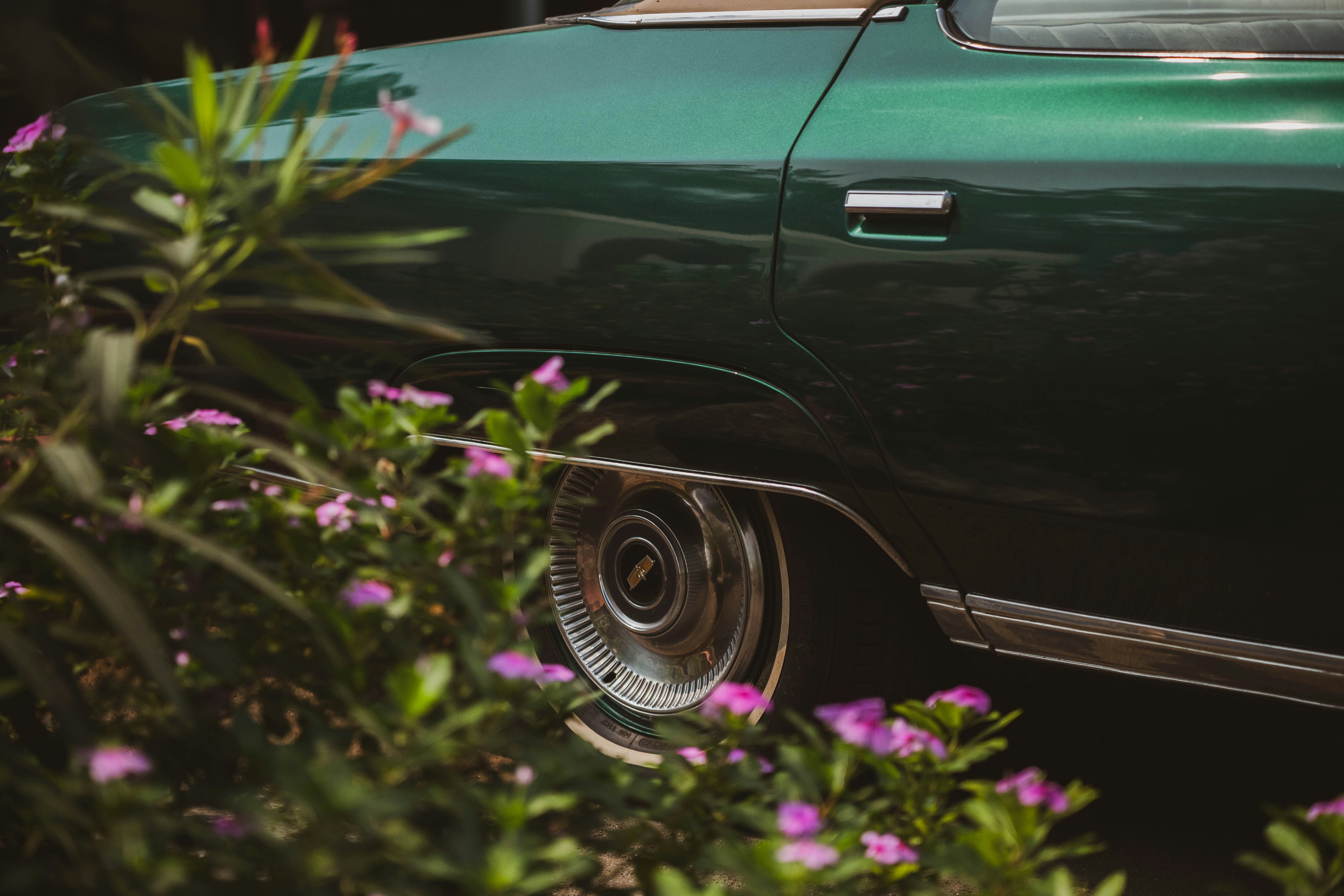 Photo by blibityblabity