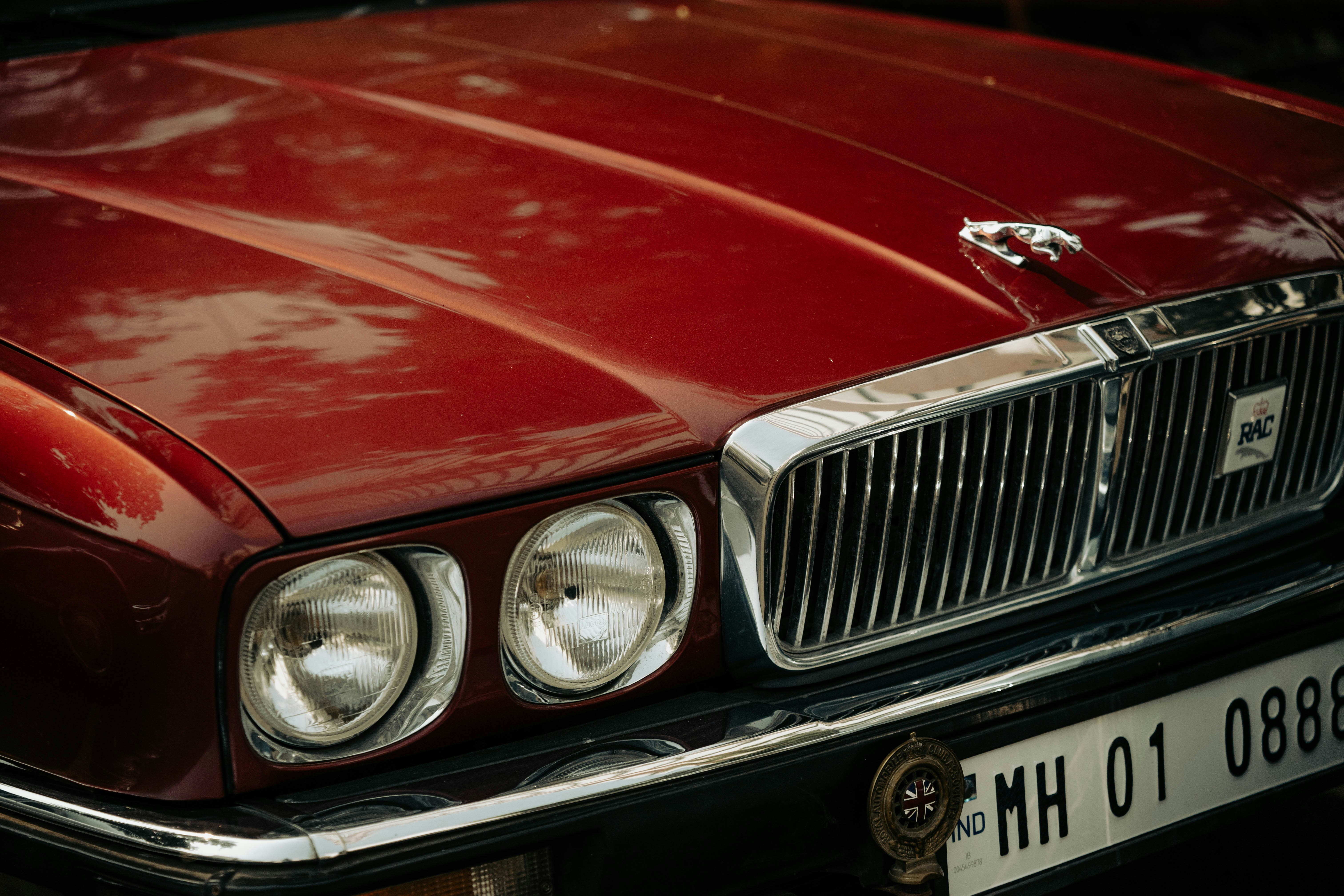 Photo by blibityblabity