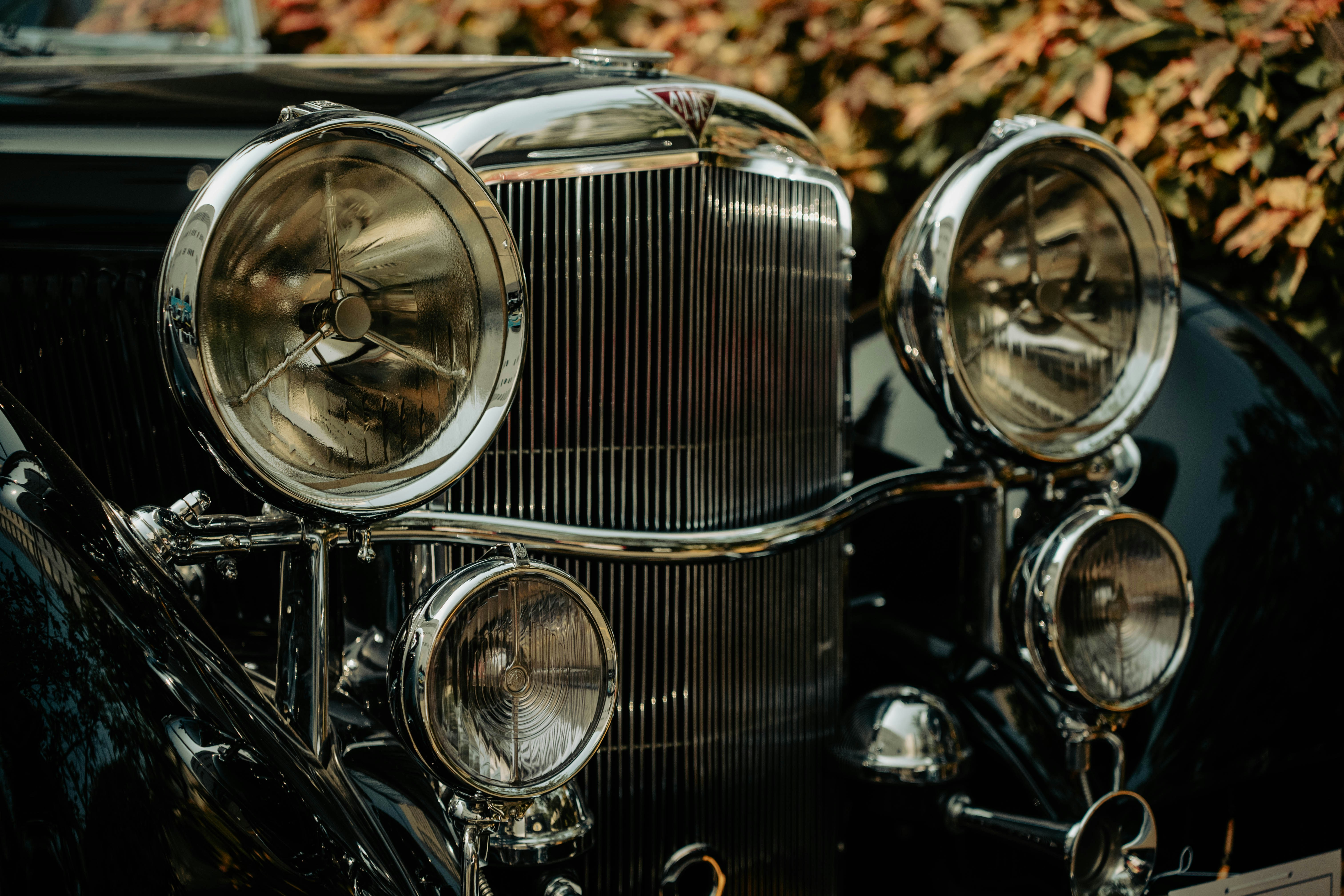 Photo by blibityblabity