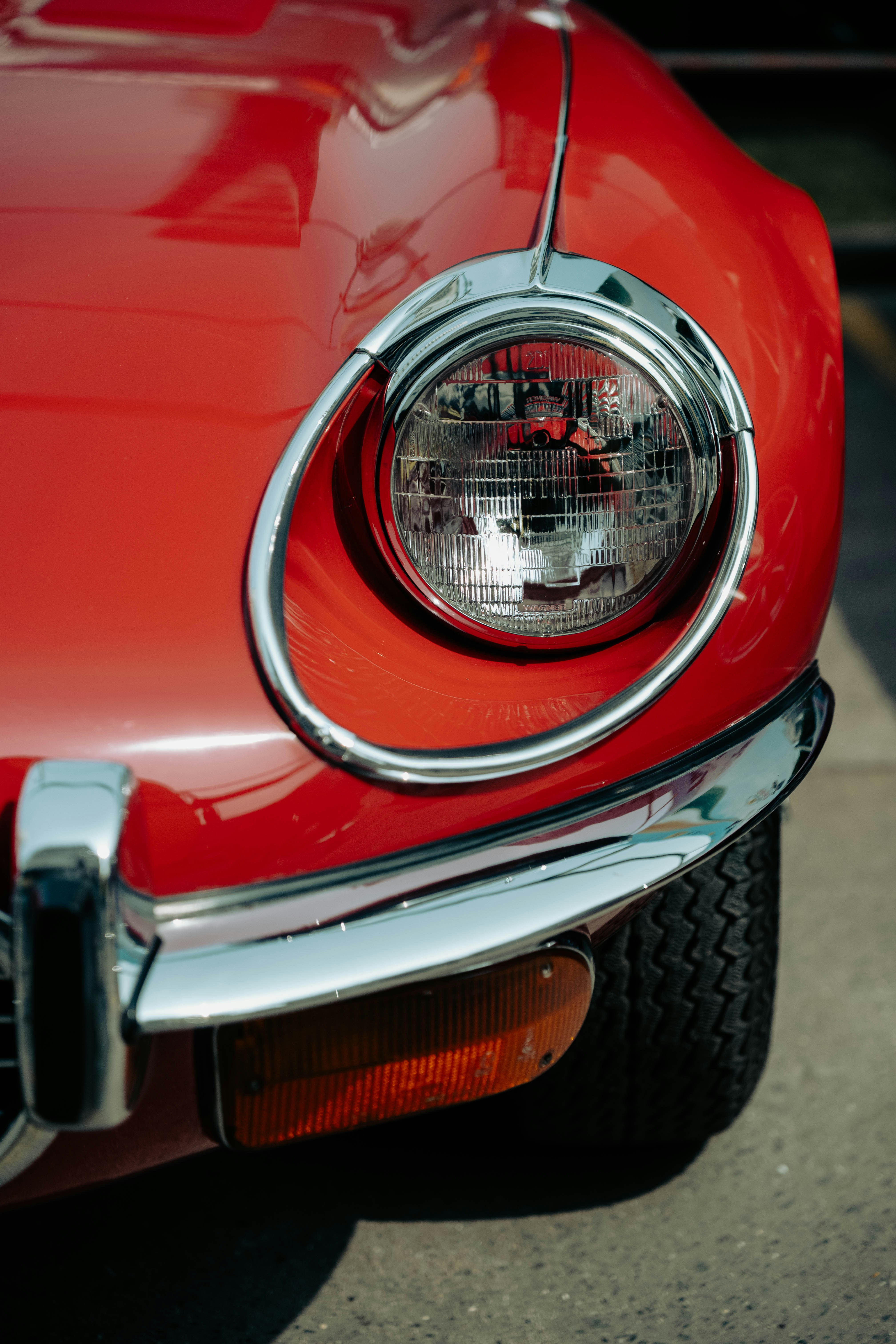 Photo by blibityblabity