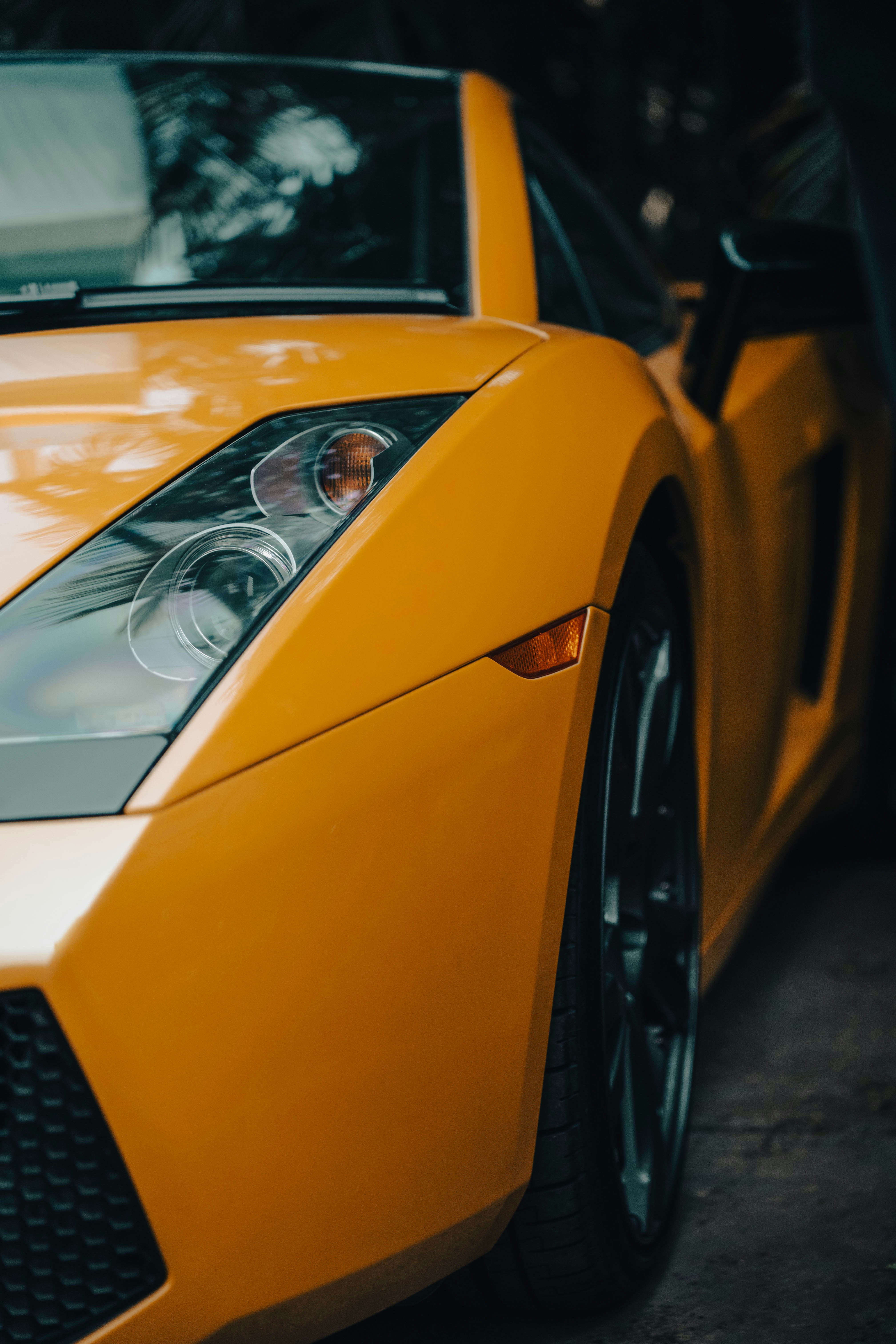 Photo by blibityblabity