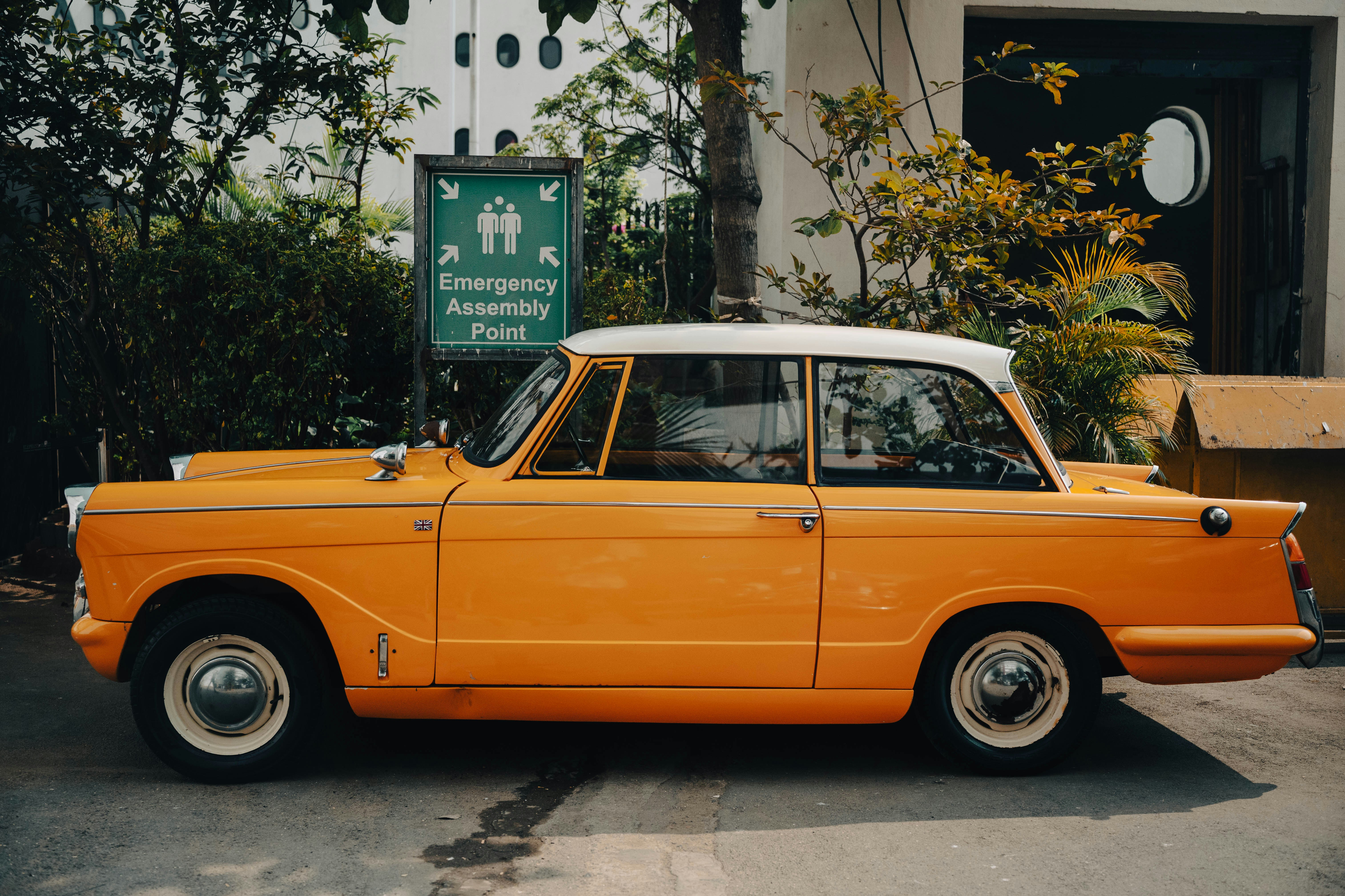 Photo by blibityblabity