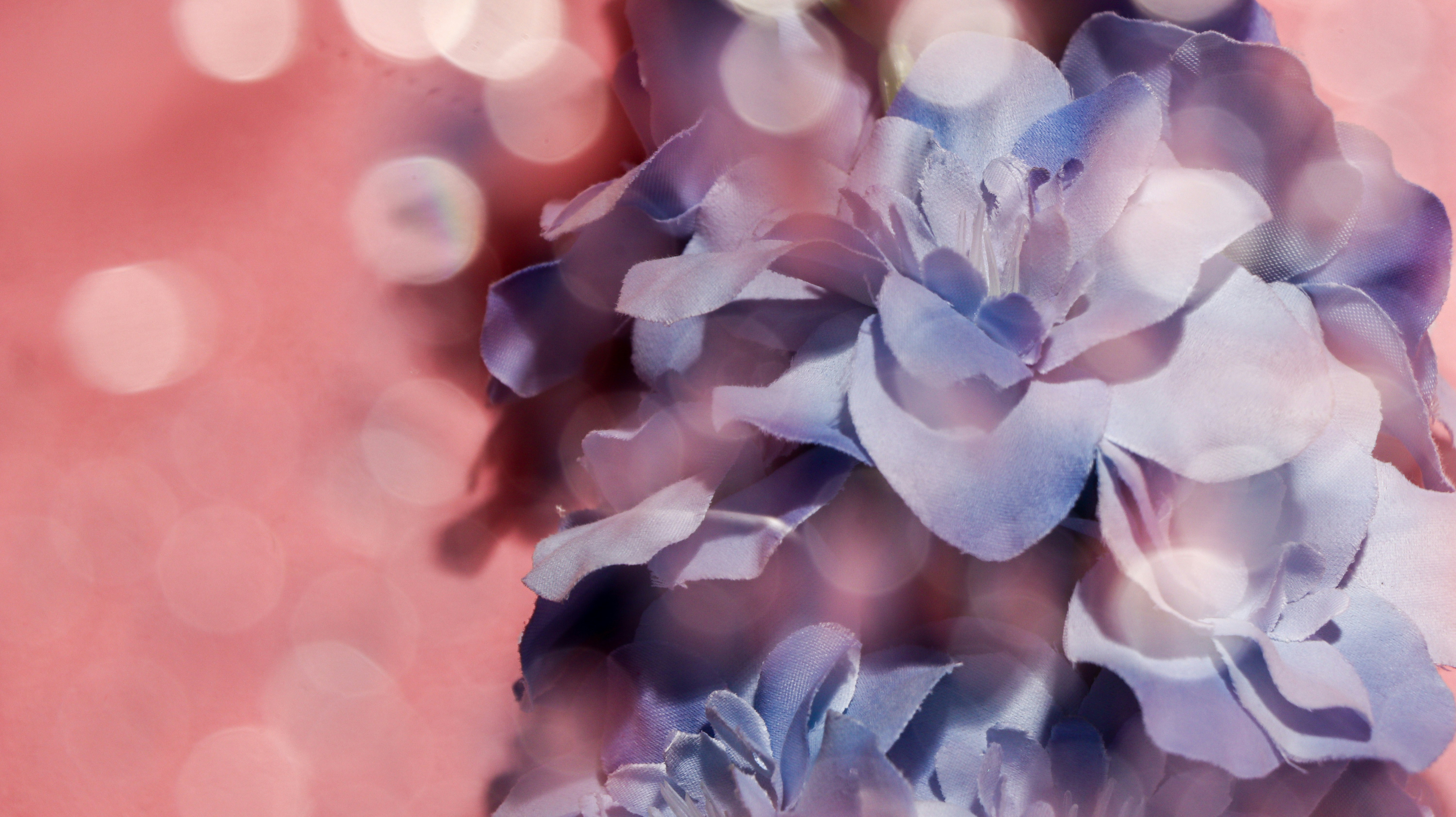 Photo by mhfphotographygb