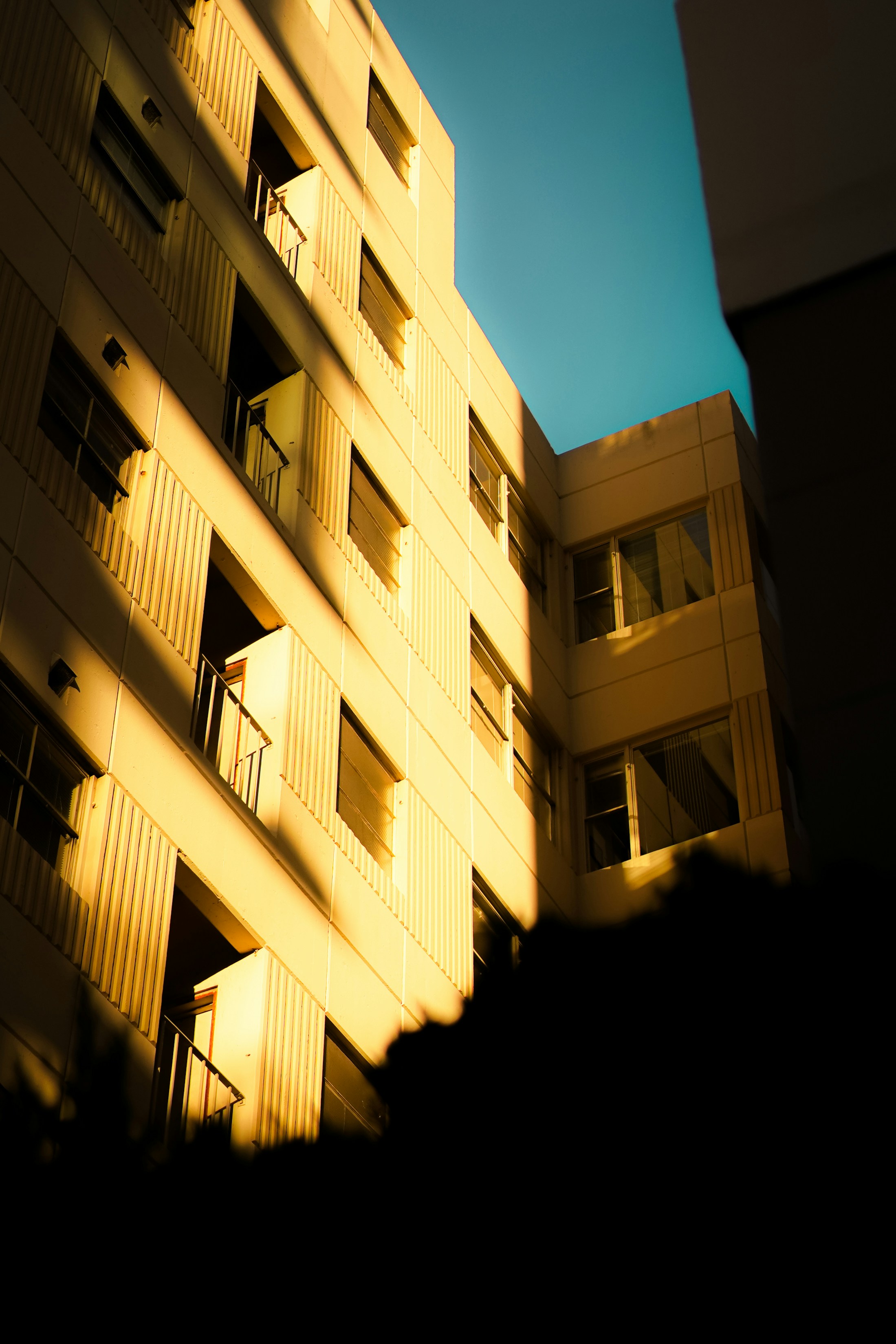 Photo by kalaniparker