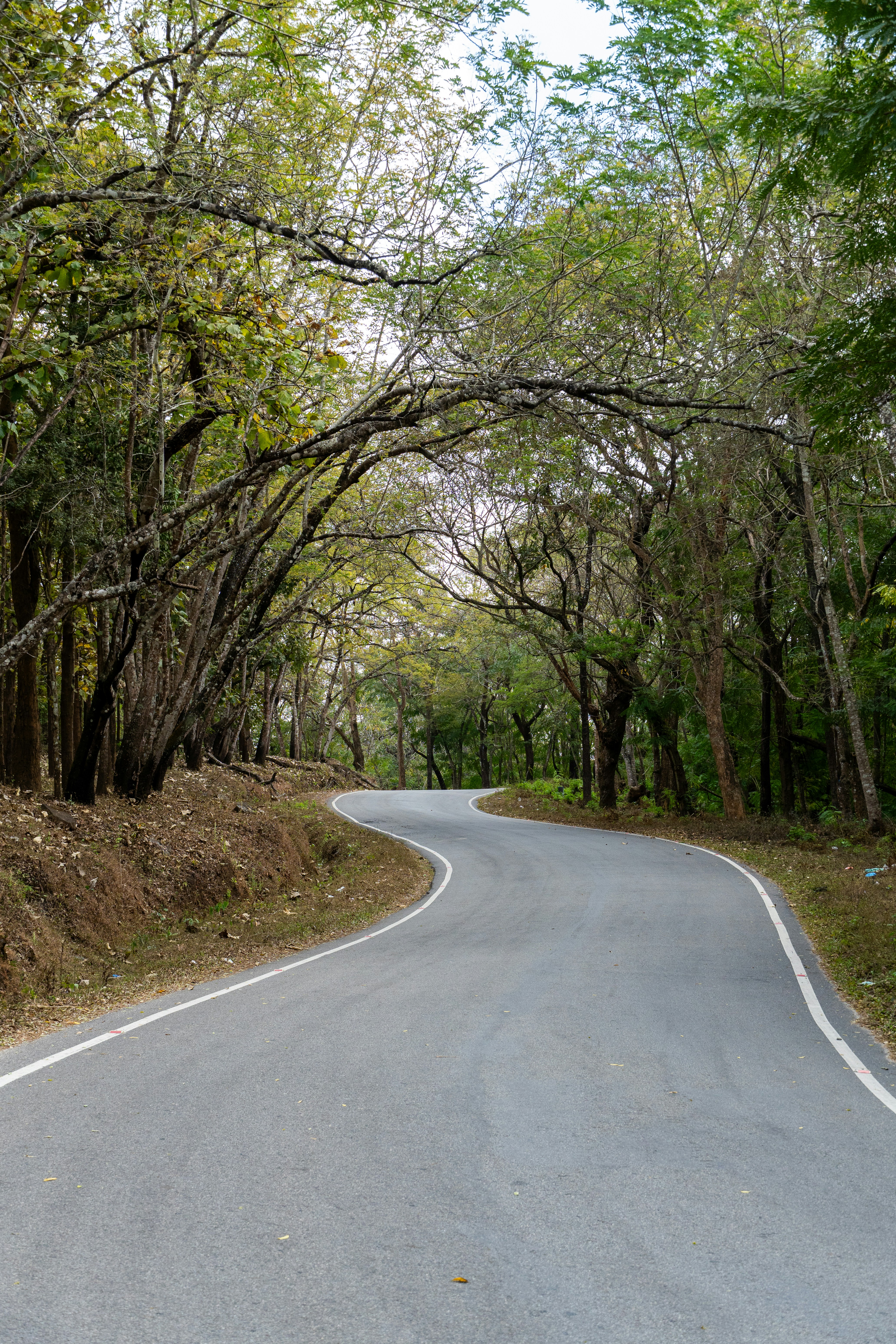 Photo by priyanshh32