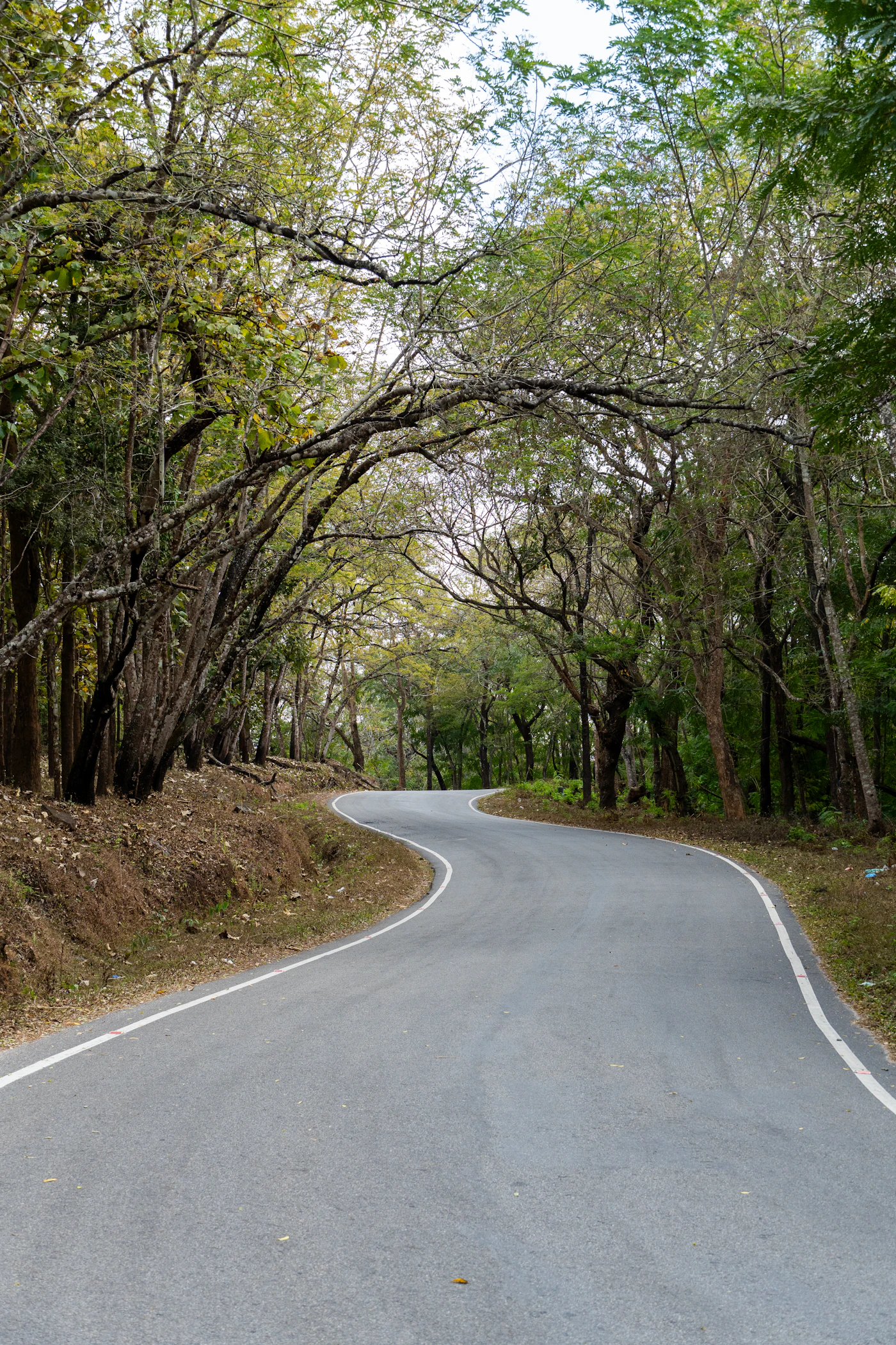 Mysore & Coorg Retreat