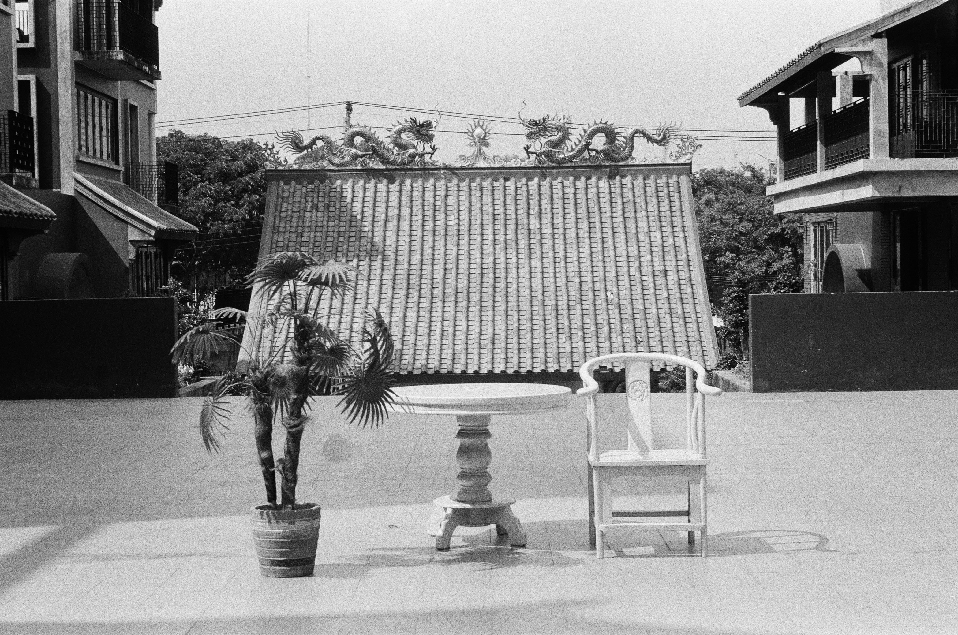 Escena en la azotea con adornos y muebles de dragón
