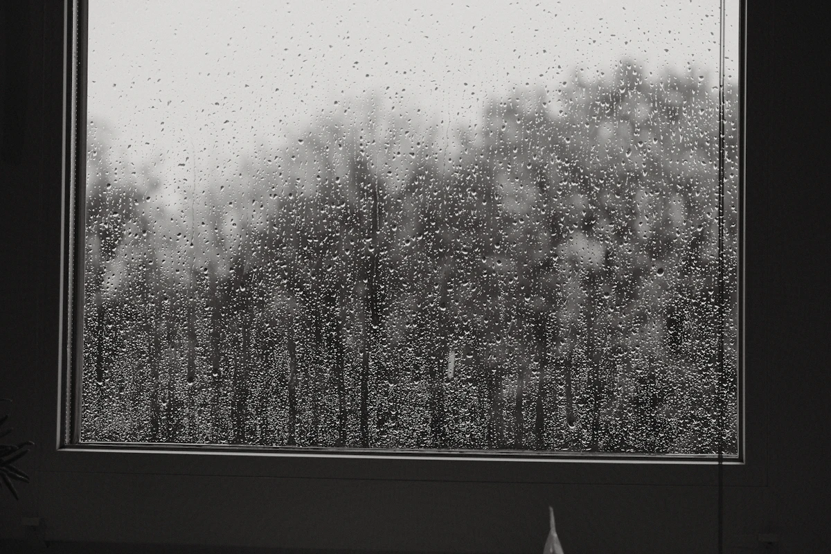 窓ガラスに伝う雨つぶと、外のぼんやりした景色