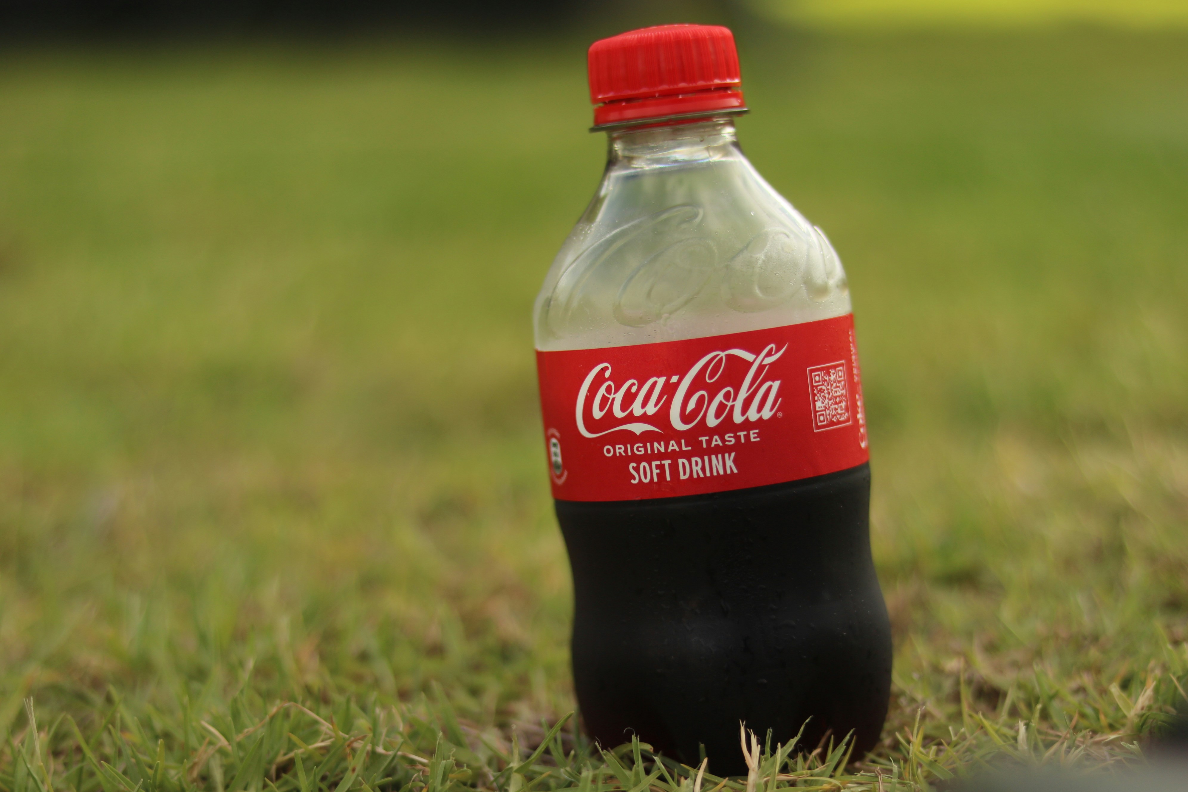 Photo by allysphotos