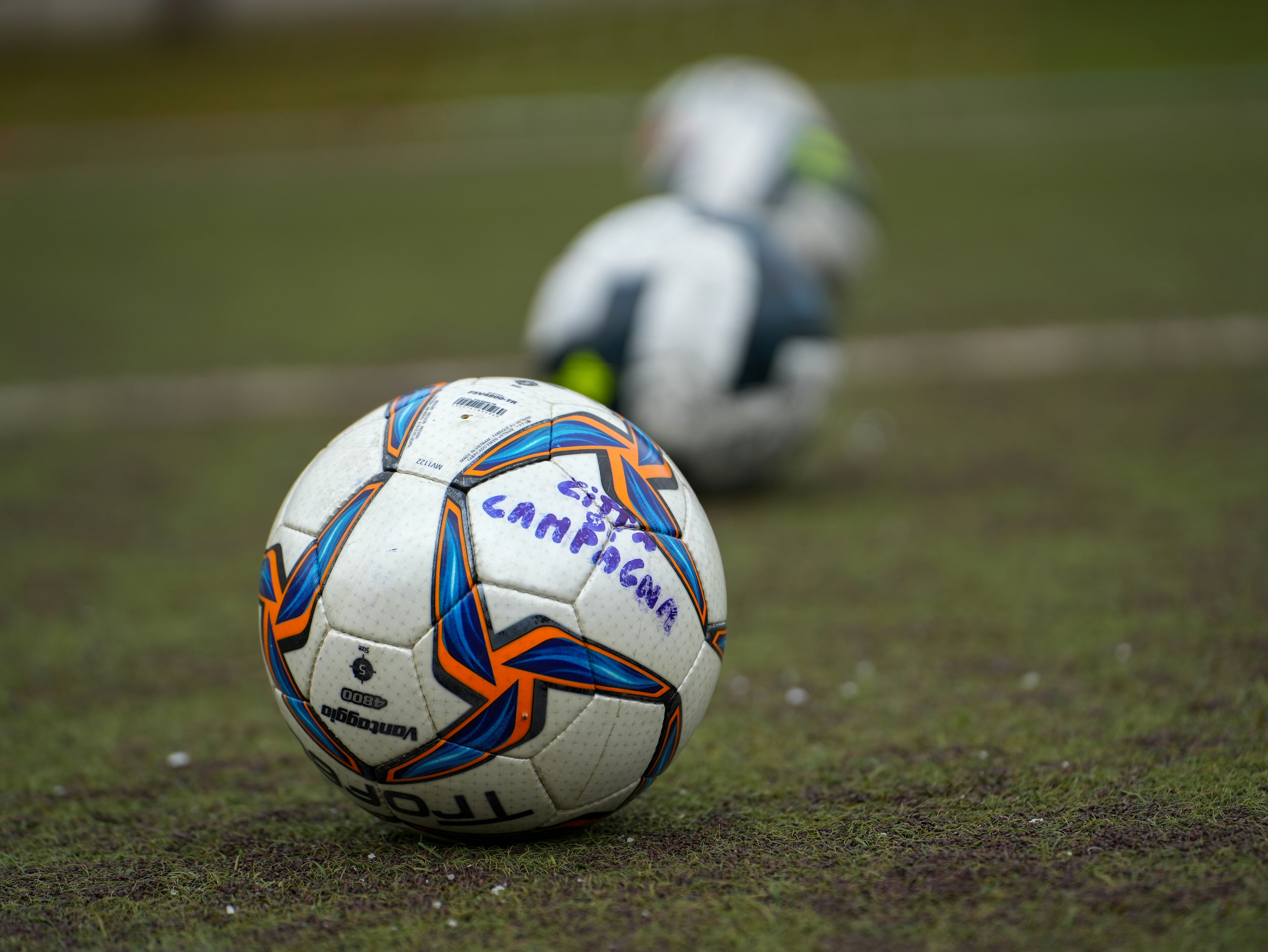 Ballons de football sur un terrain gazonné