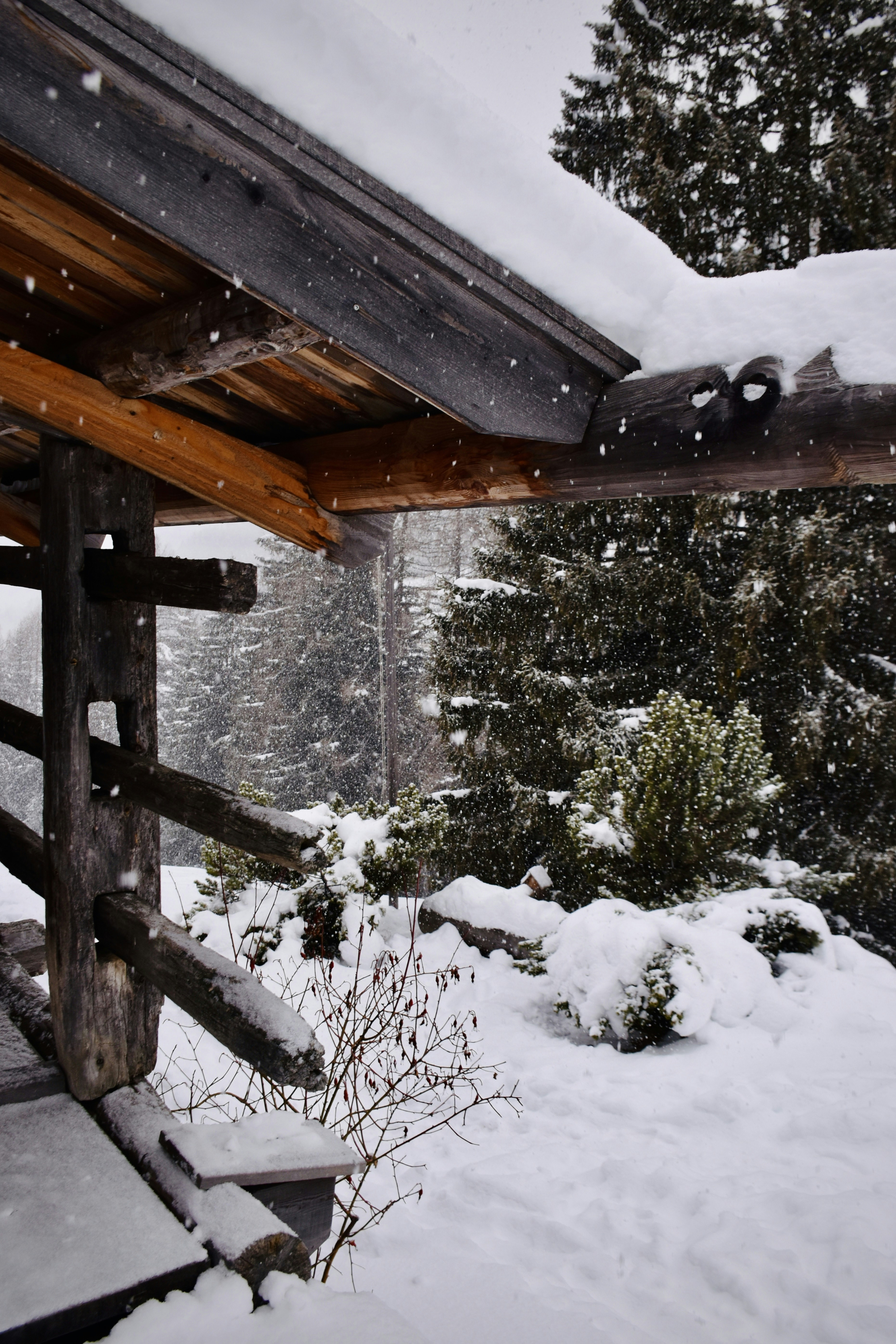 雪の降る中、雪に覆われた森の中の木造構造物