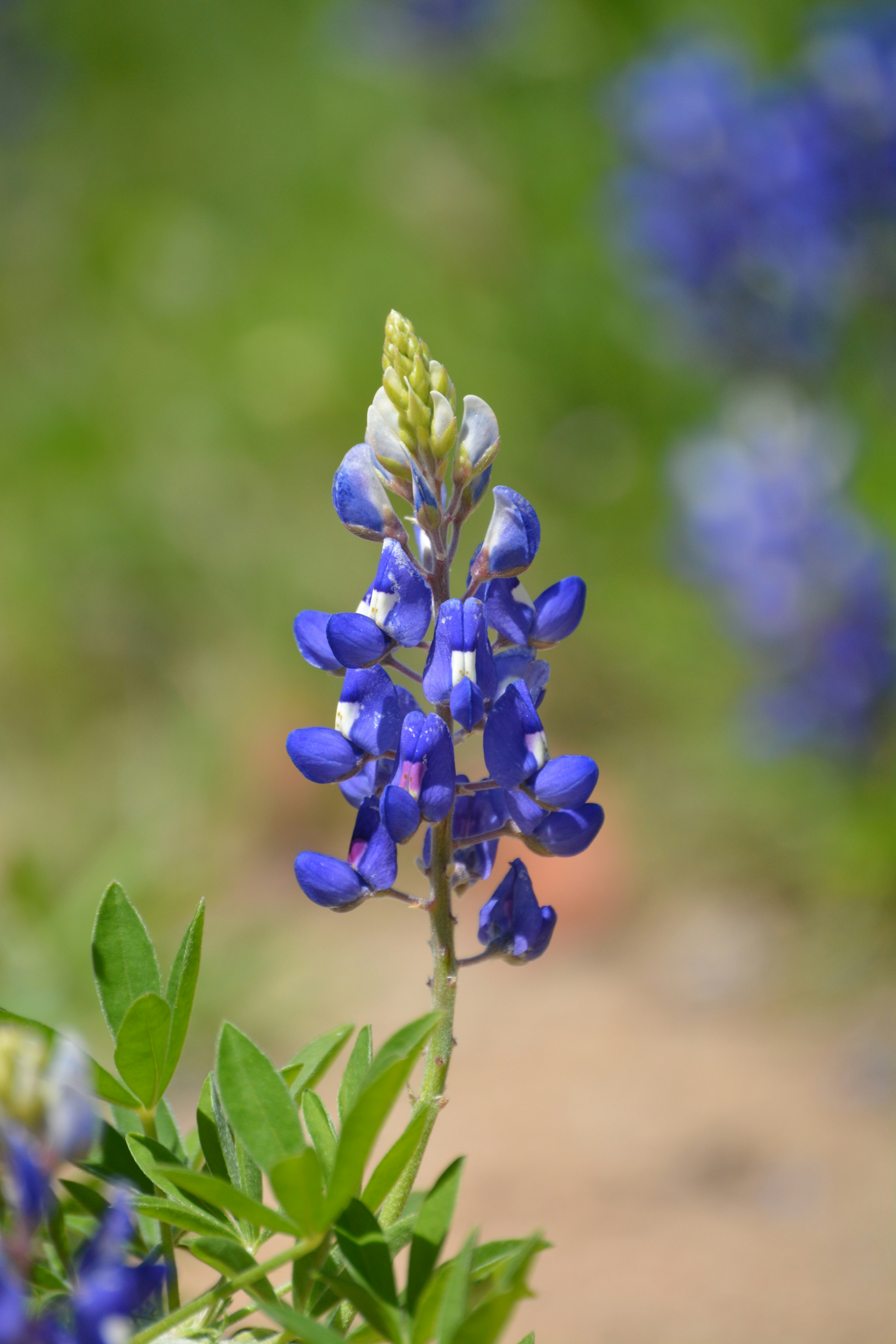 Photo by impossibleboi