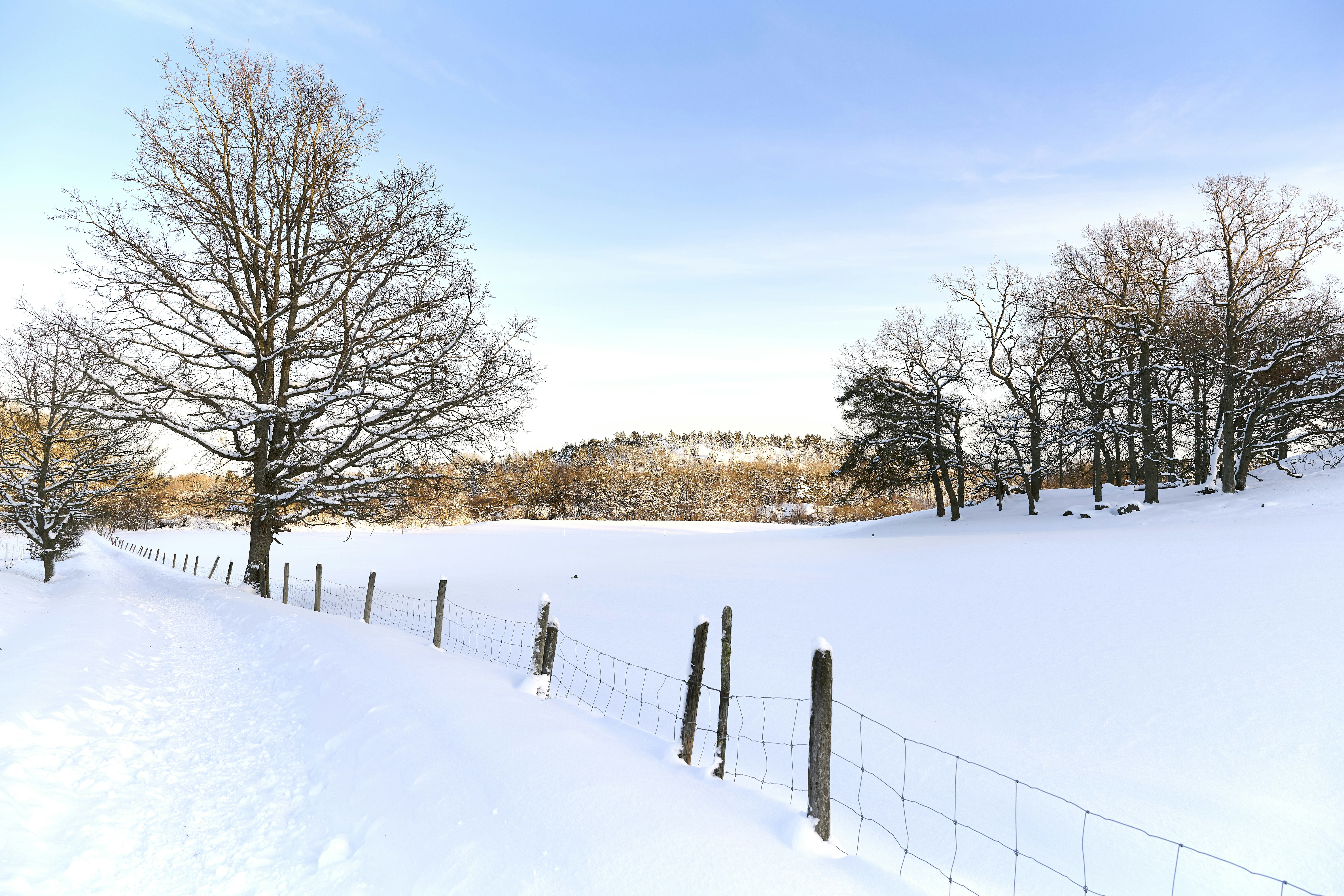 Photo by stoneskipper