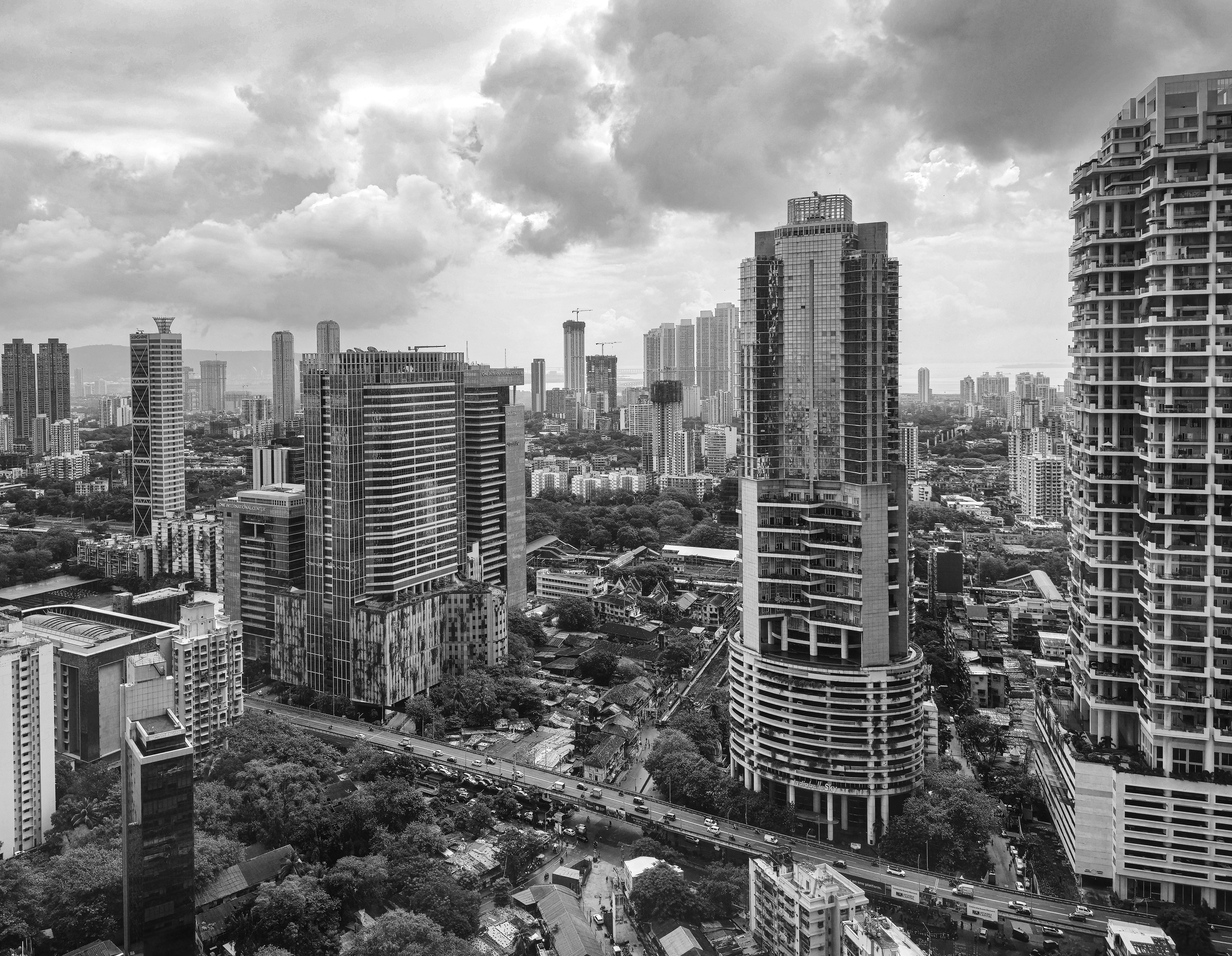 Paisaje urbano monocromo con edificios altos bajo cielo nublado