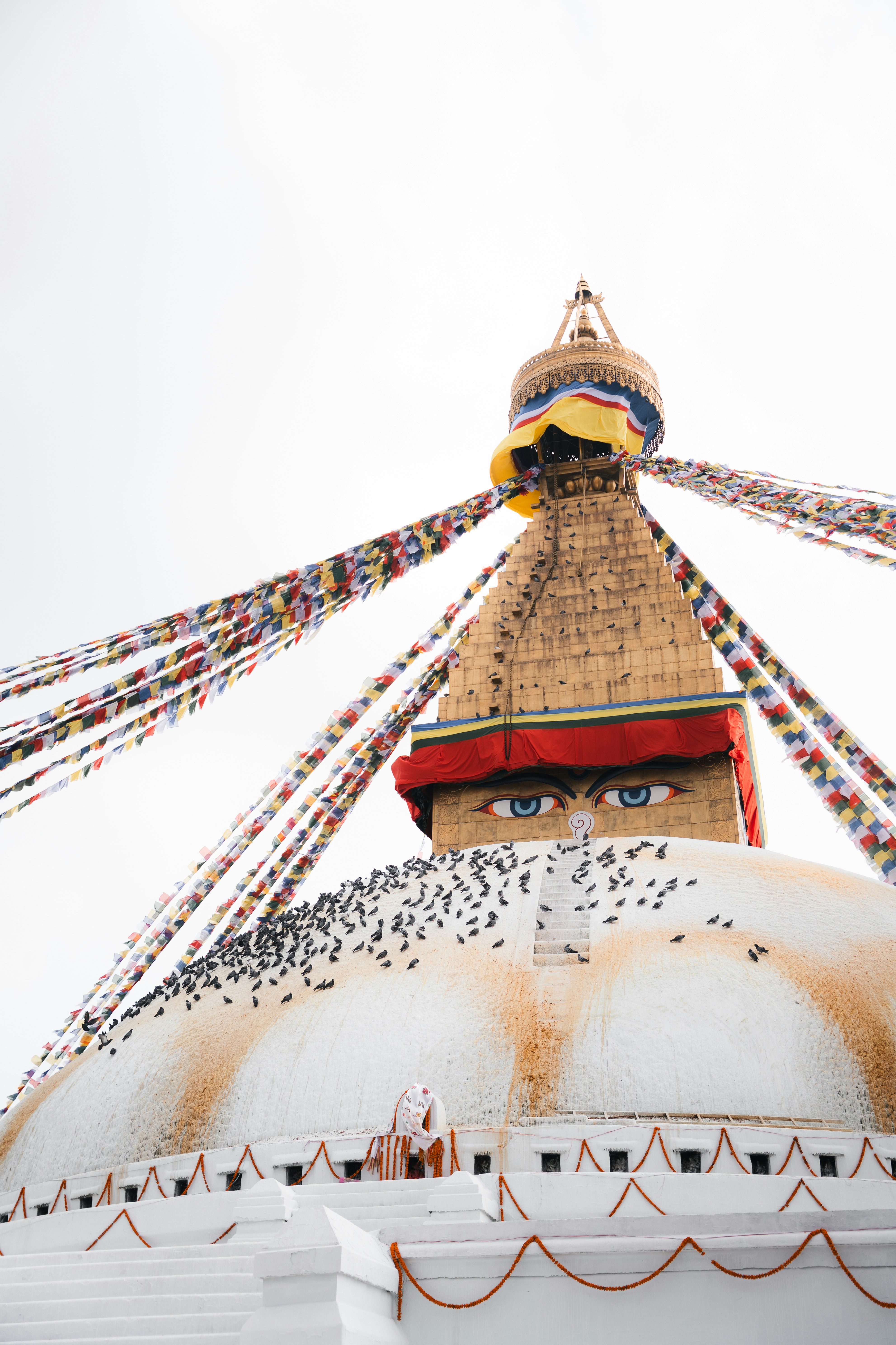 Photo by auchynnikau