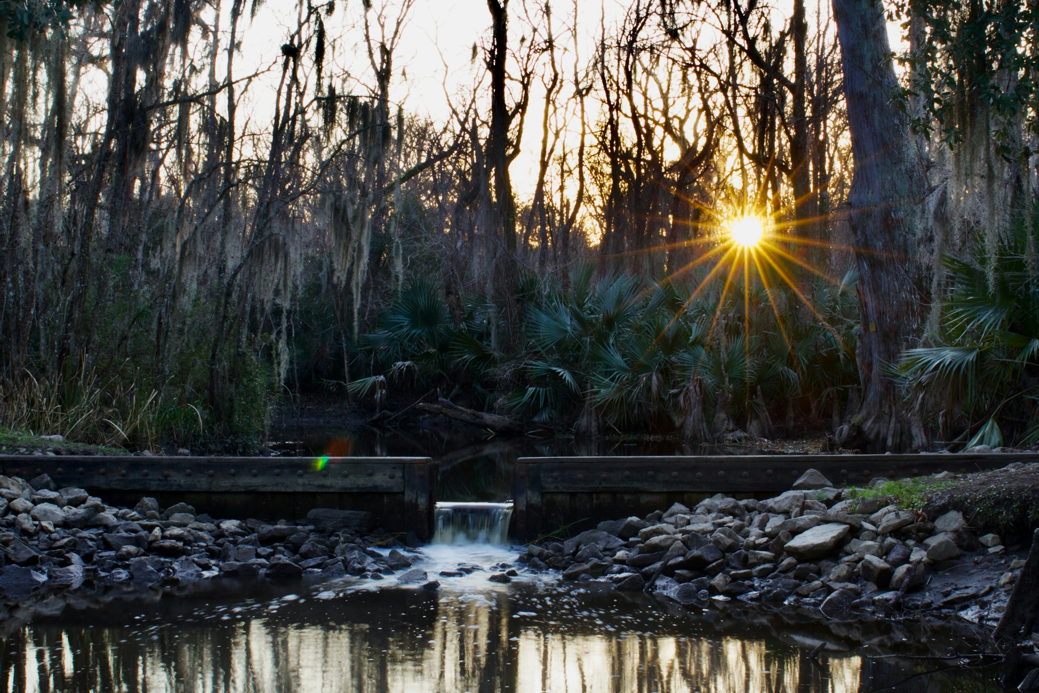 Photo by wilsonsharpshots