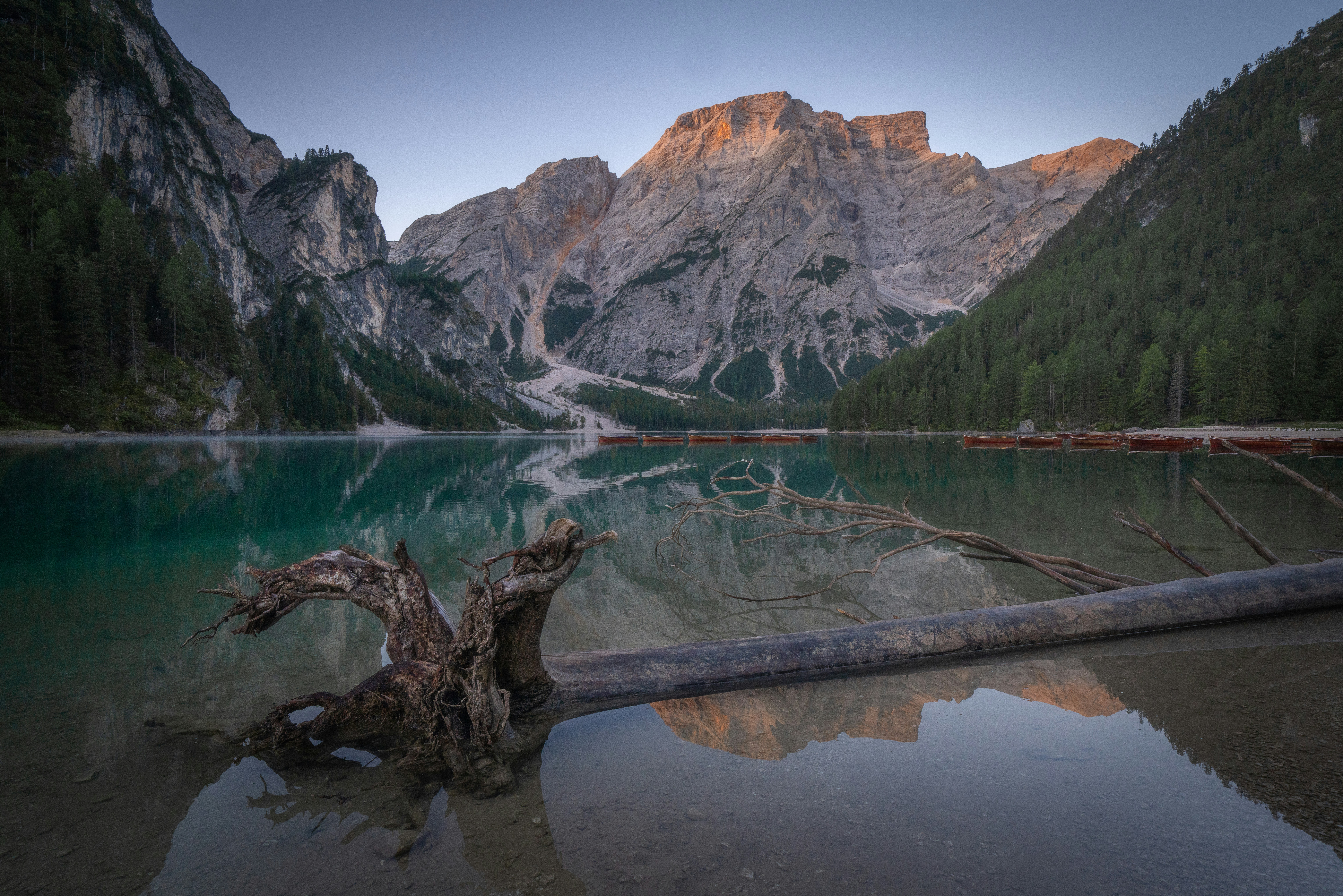 Le montagne riflesse in un lago sereno con alberi caduti.