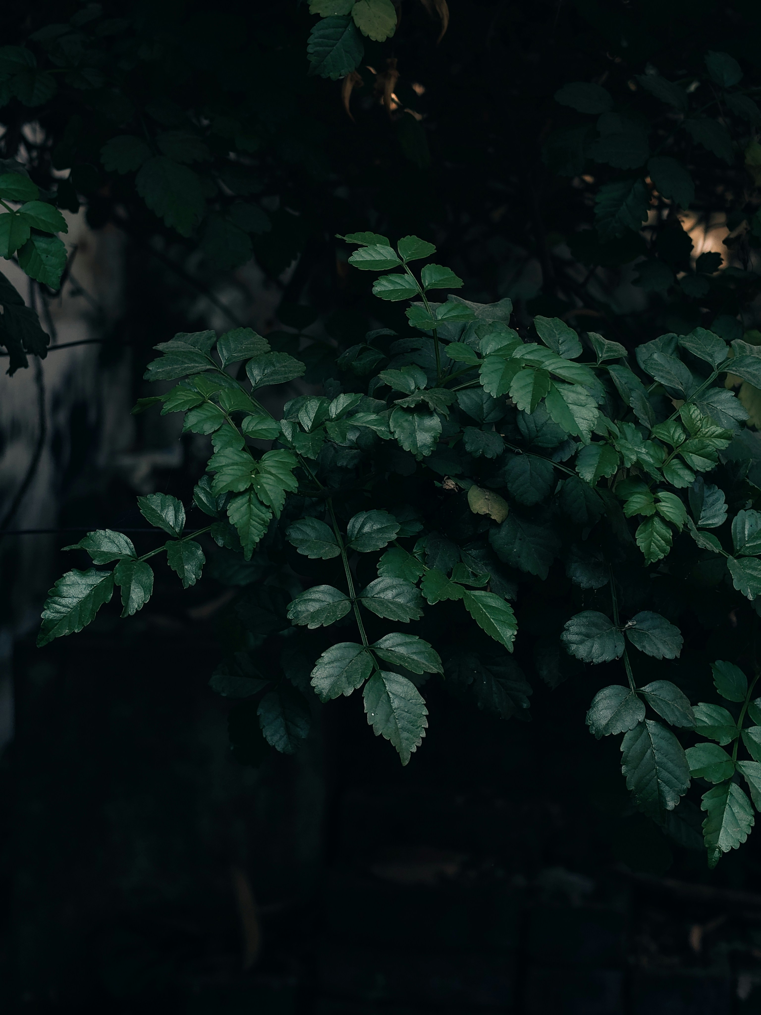 Photo by sujaypaulsp