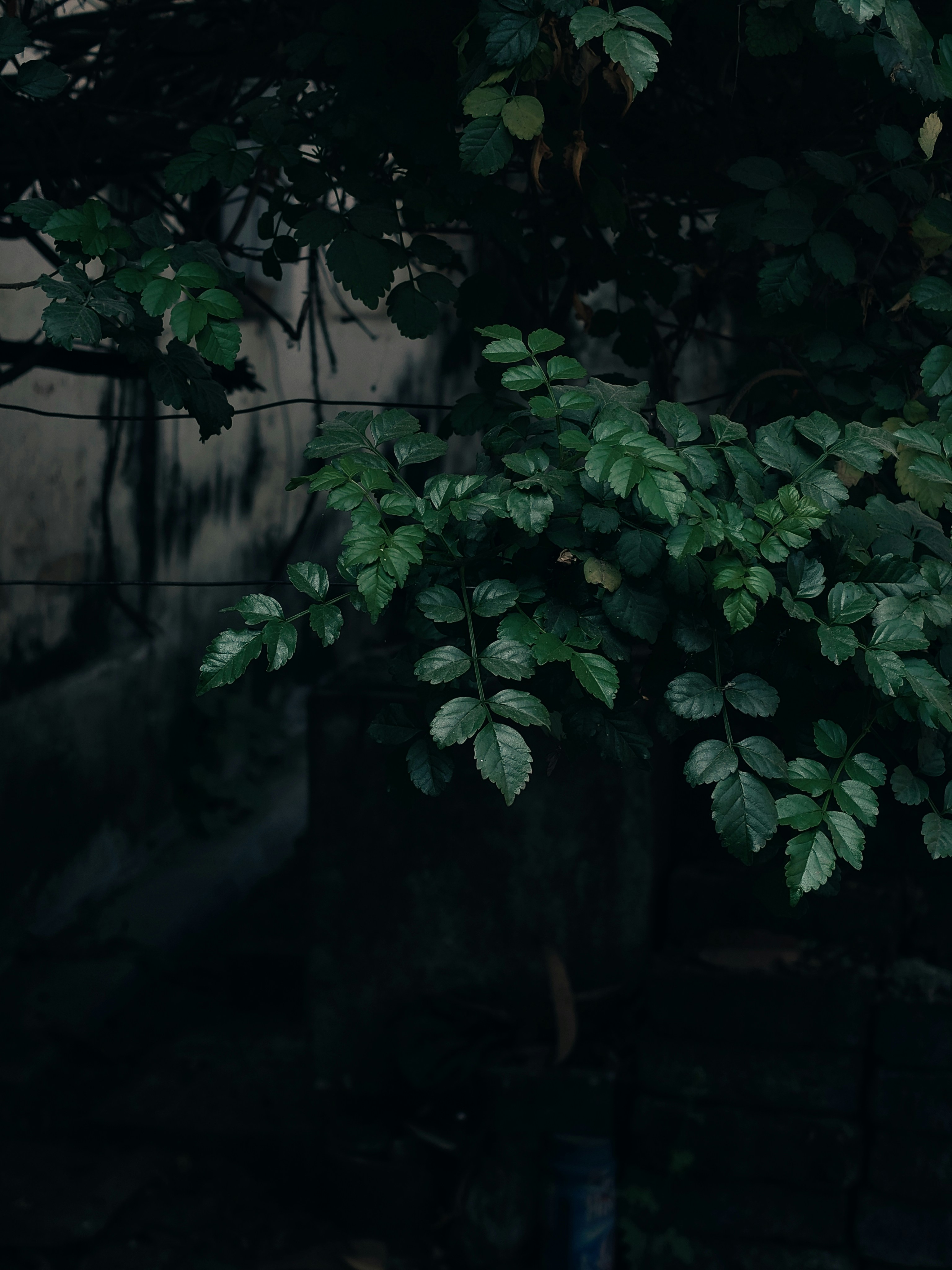 Photo by sujaypaulsp