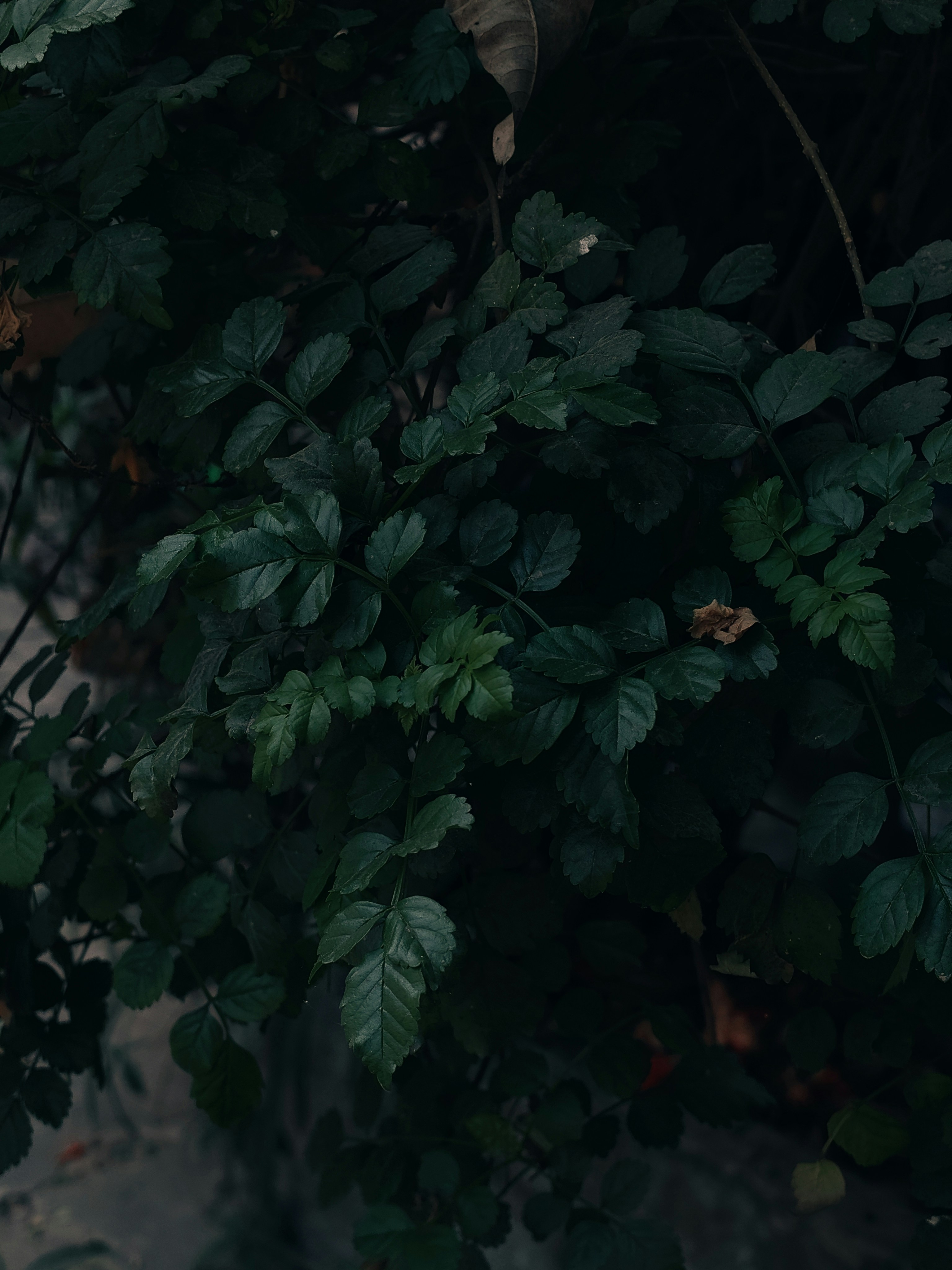 Photo by sujaypaulsp