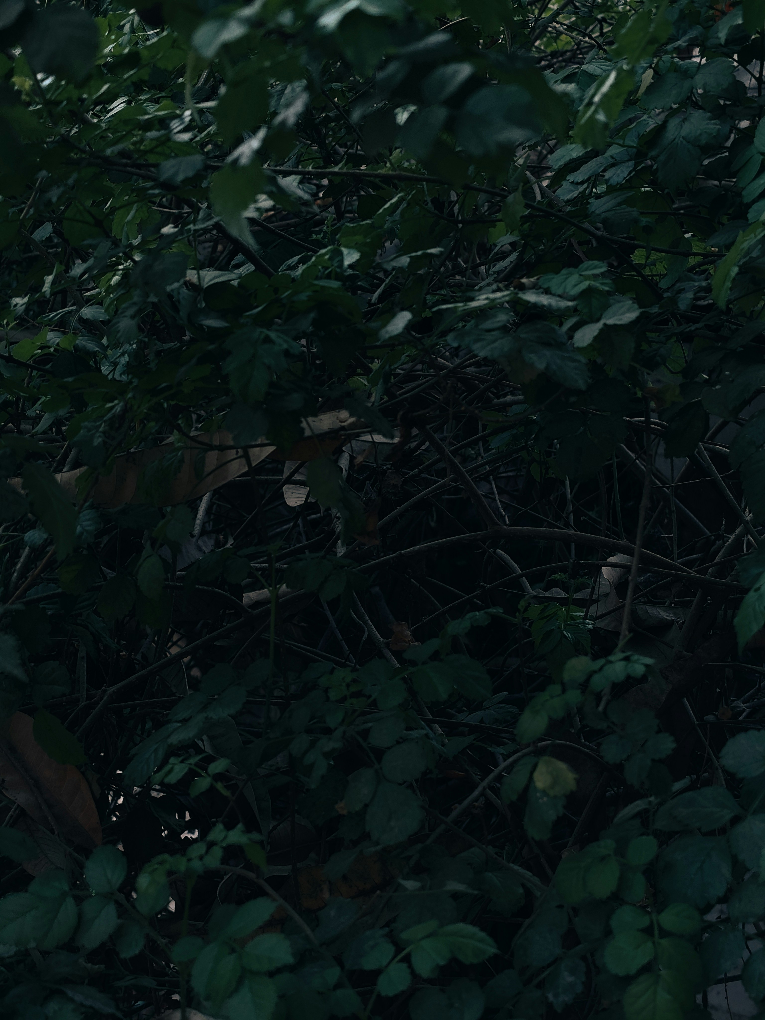 Photo by sujaypaulsp