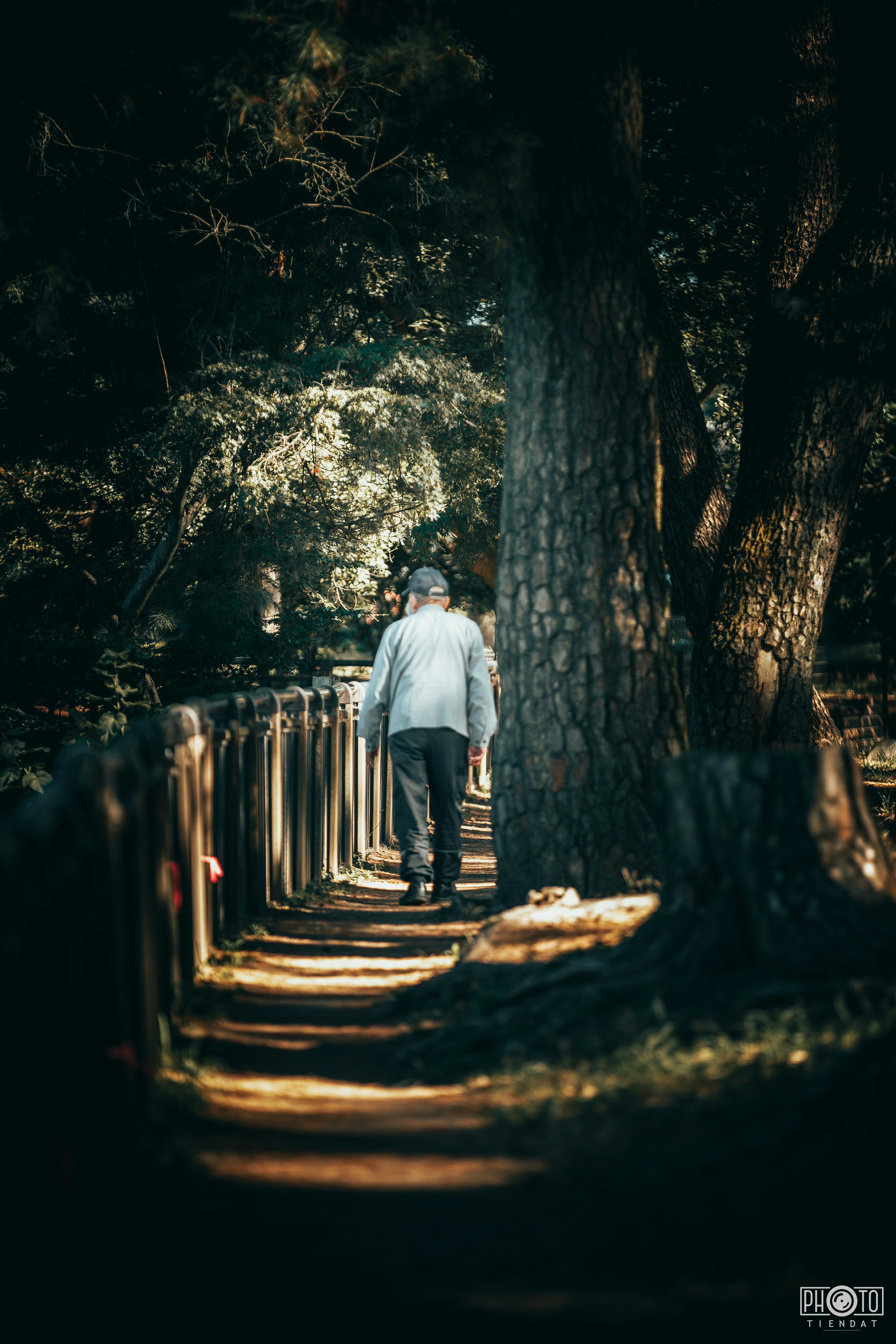 Photo by tiendat4393