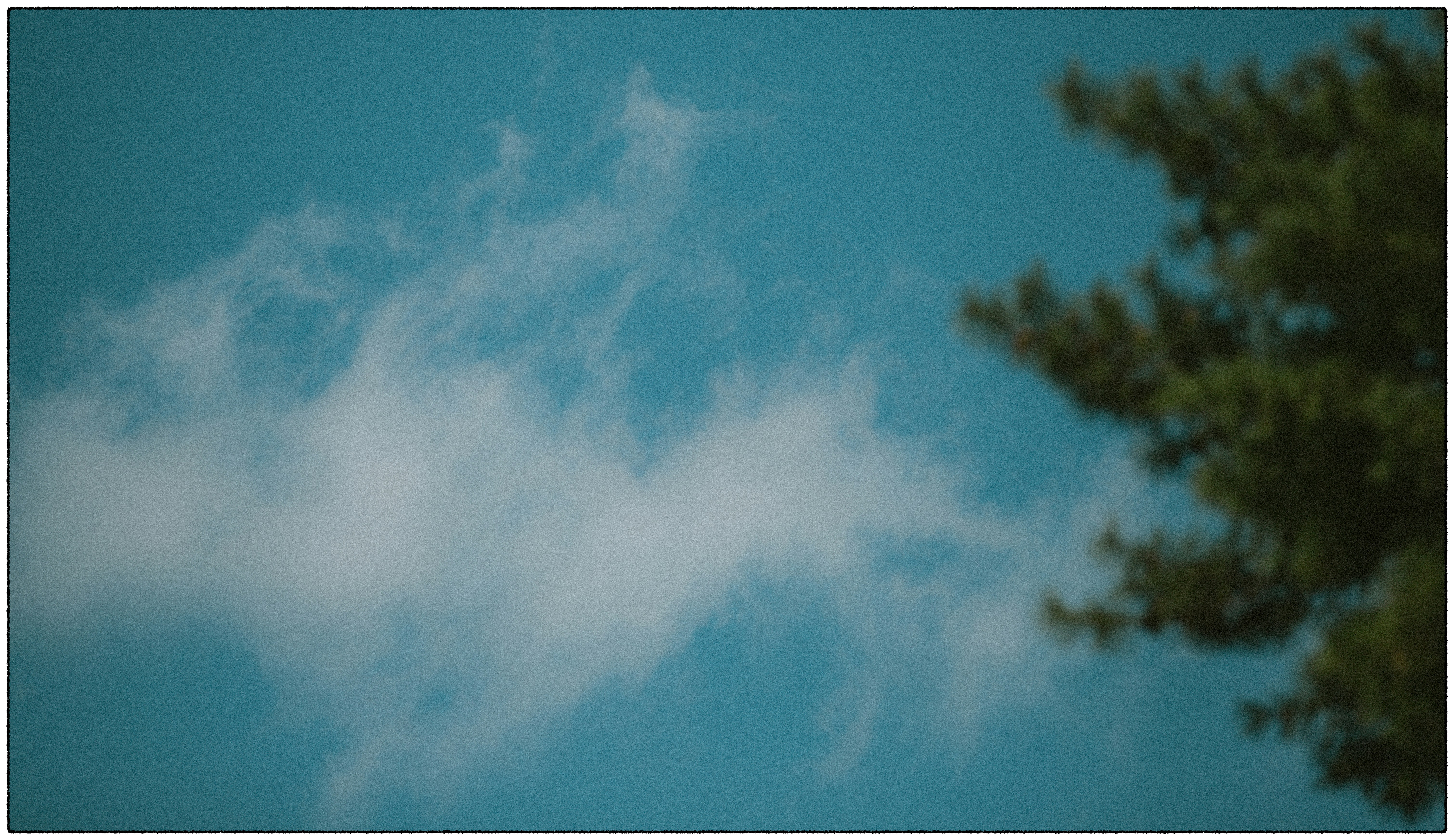 Pine tree branch against a blue sky with clouds photo – Free Clouds ...
