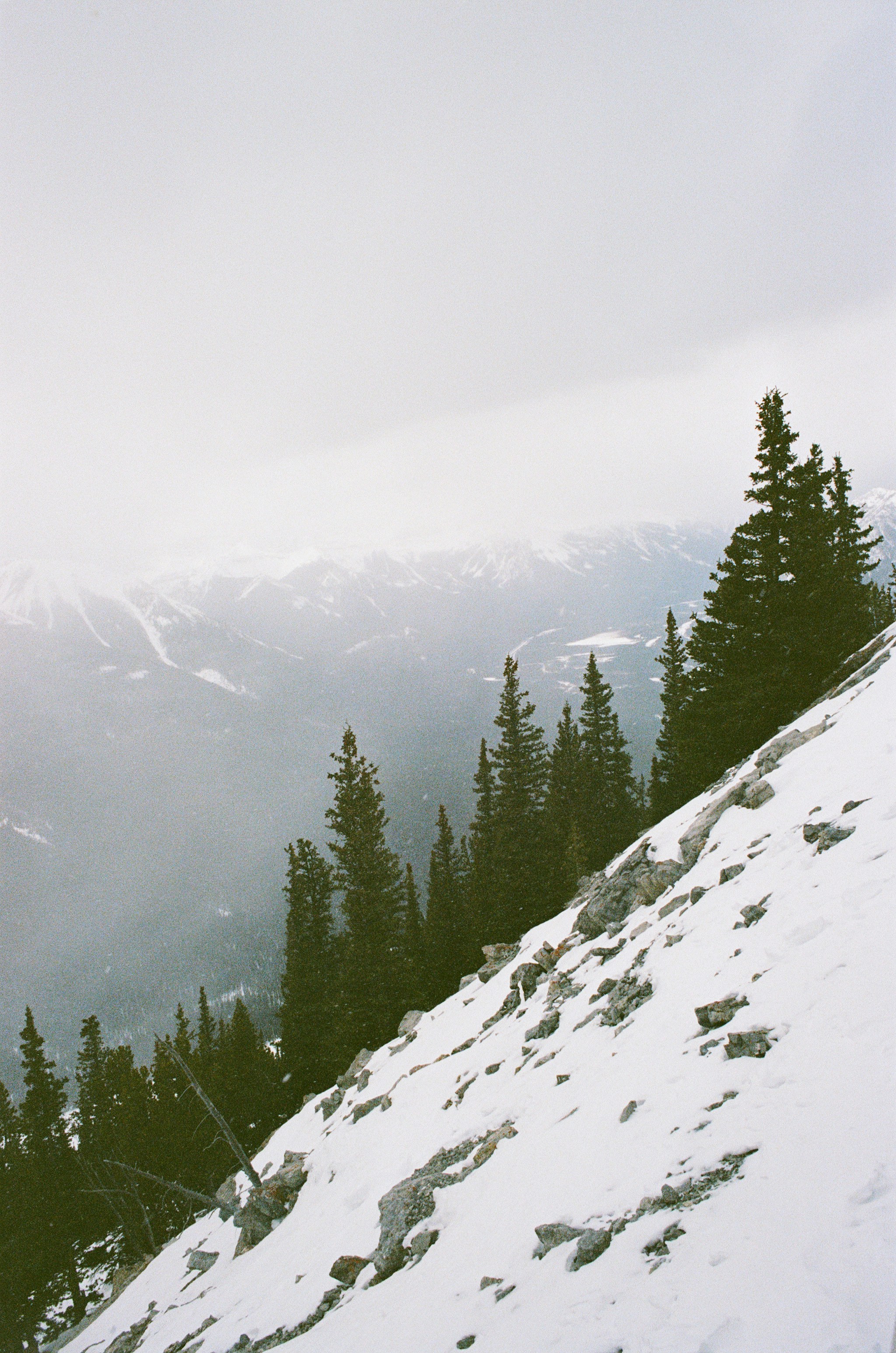 Photo by eldhosekuriyan