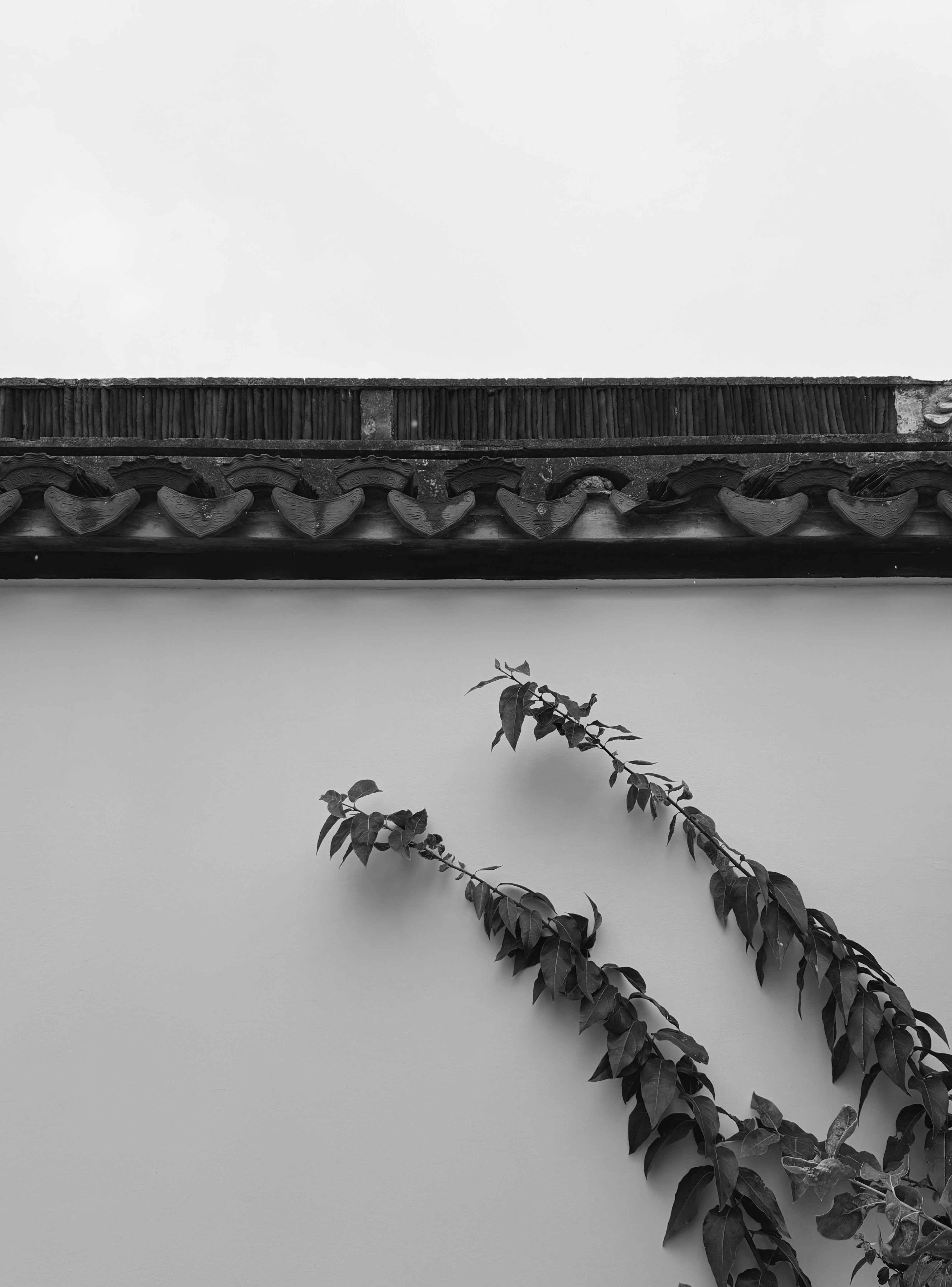 Ivy climbs a textured wall beneath ornate roof tiles.
