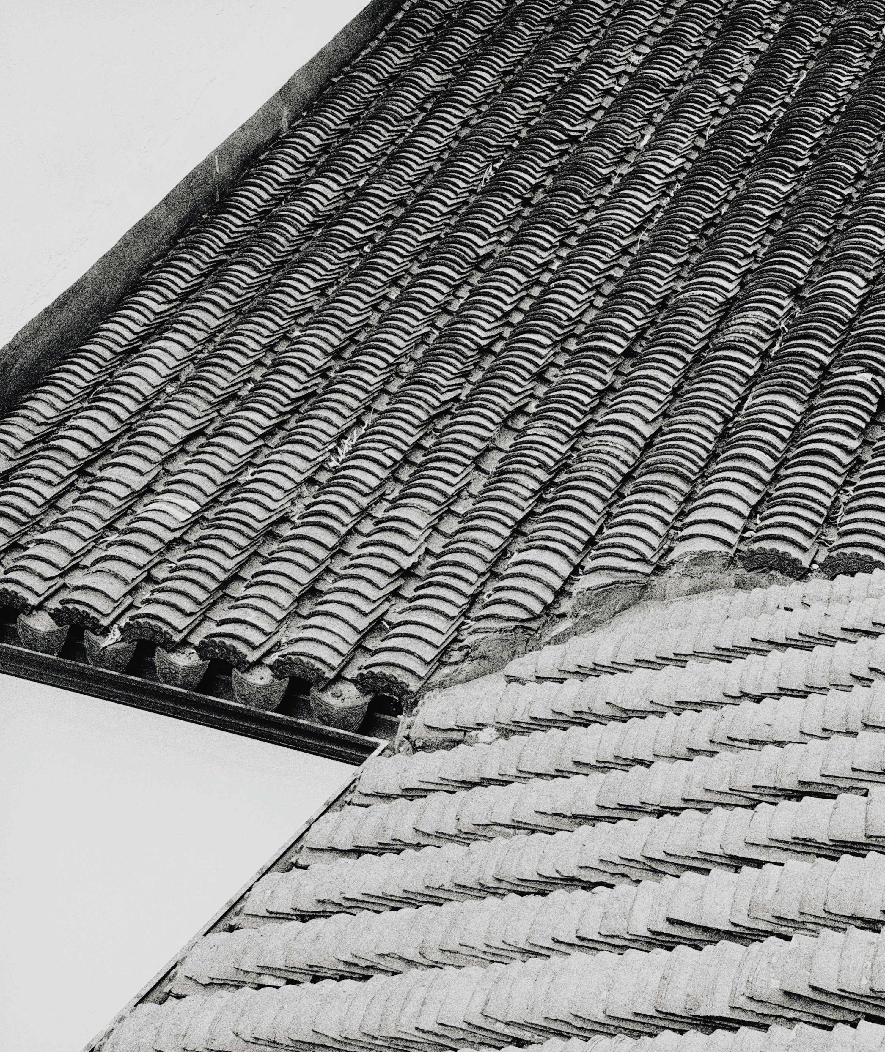 Close-up view of traditional tiled rooftops.