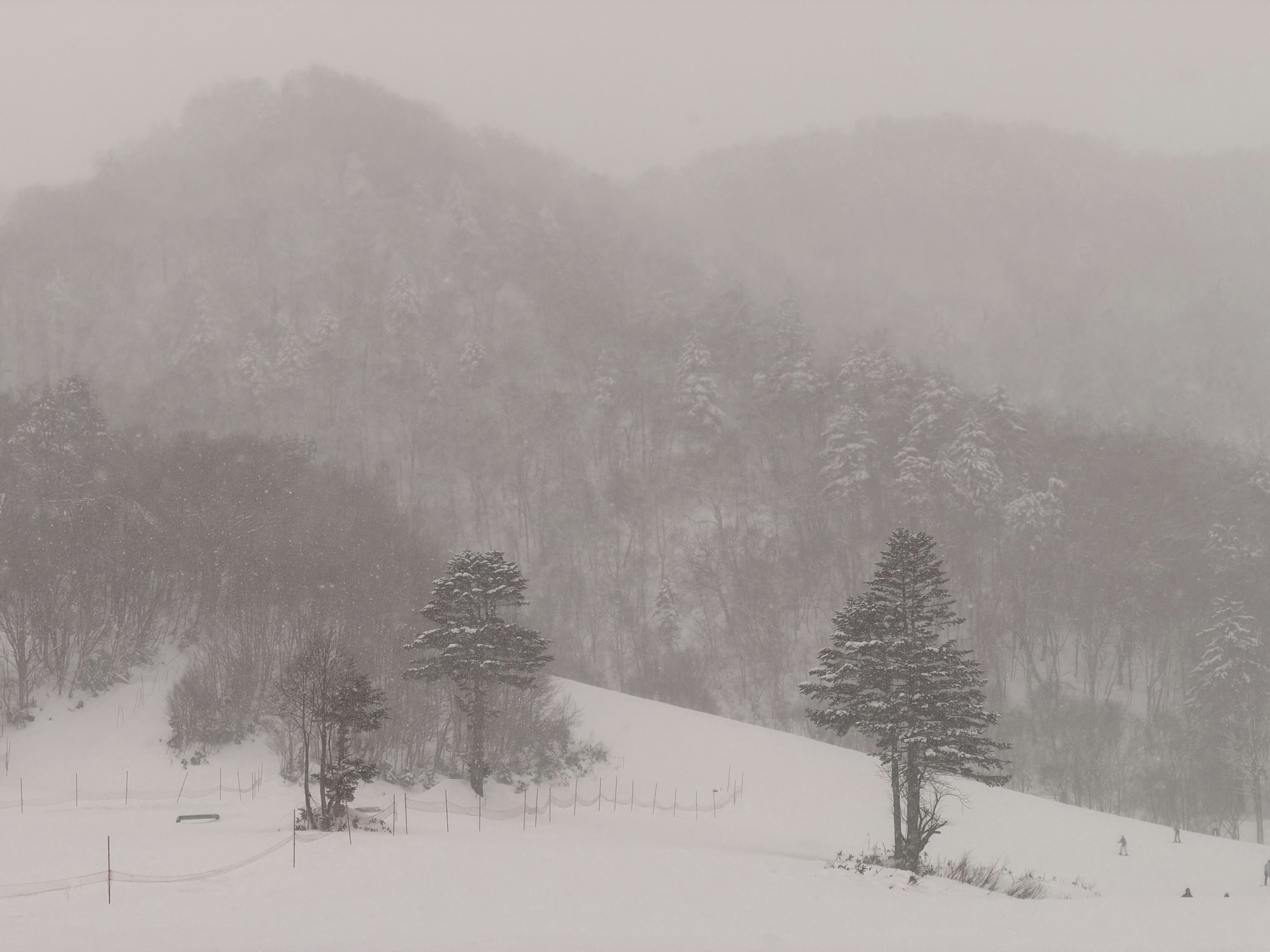 Photo by toddjiang