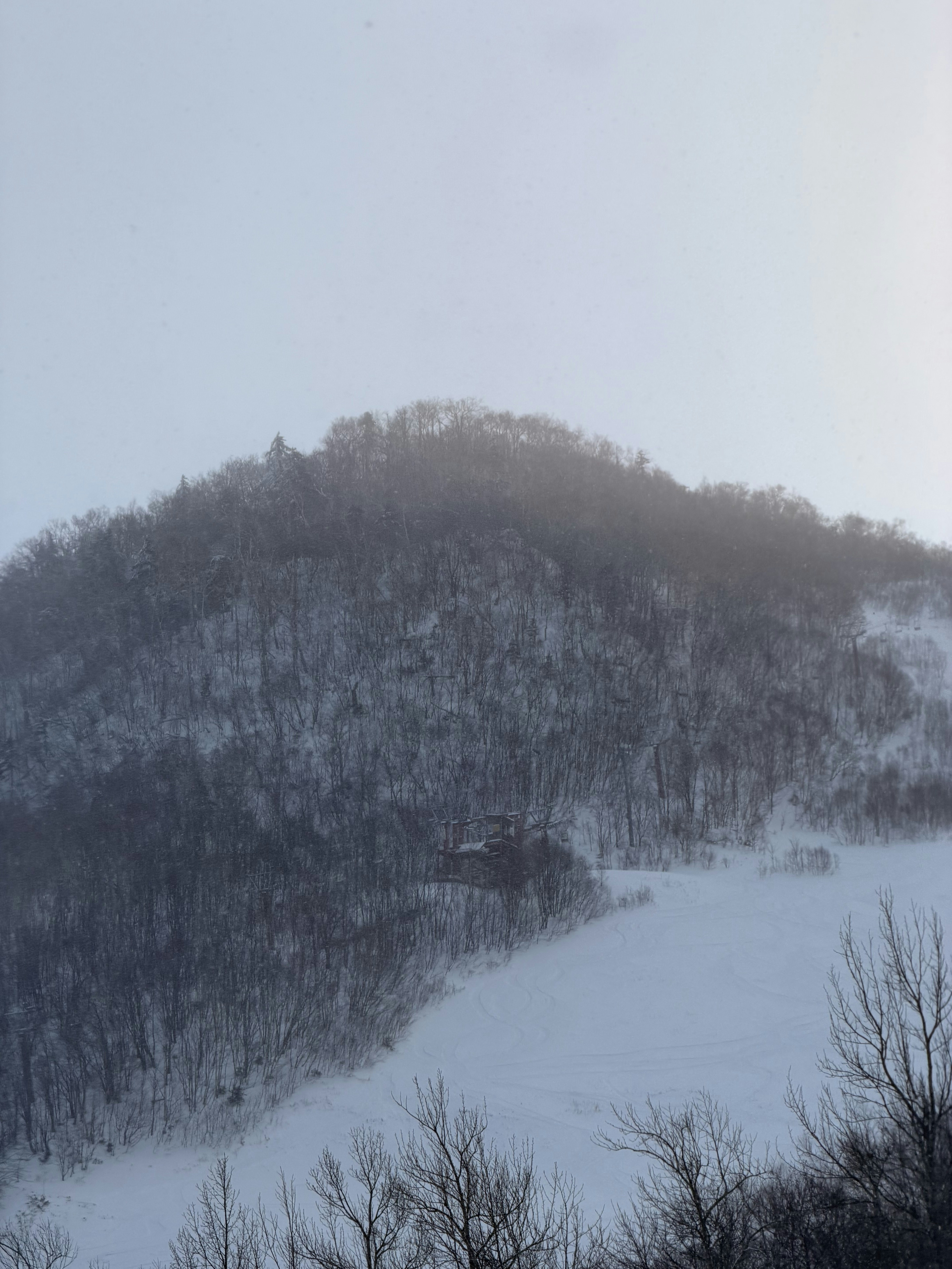 Snowy mountain slope with trees and ski run