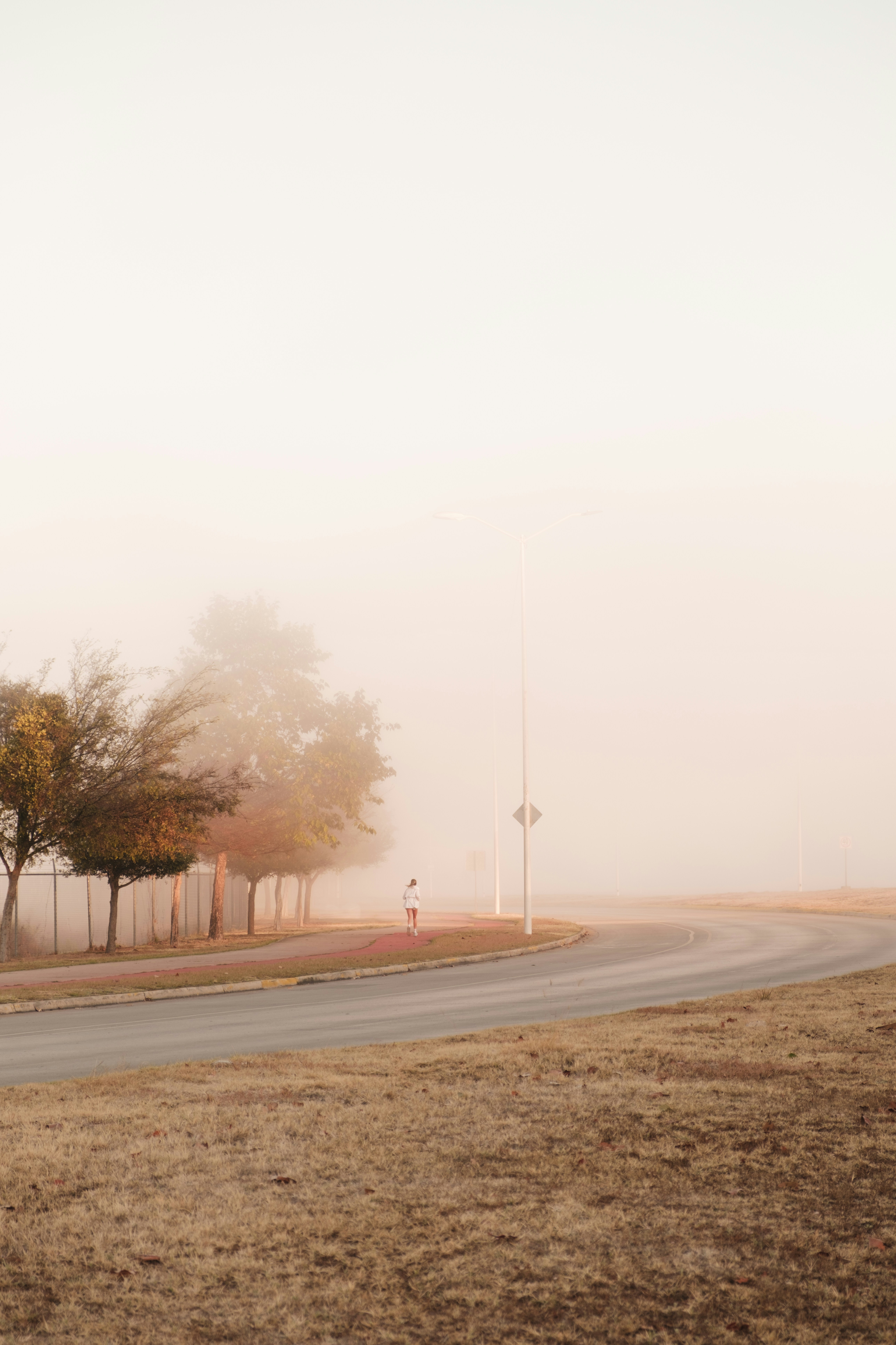 Person jogging on a foggy road near trees