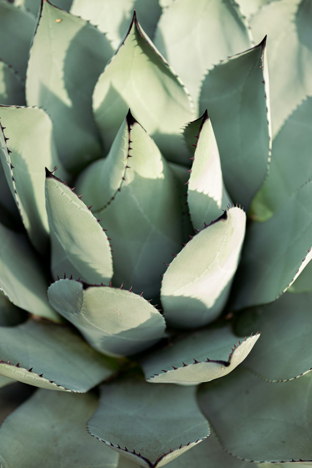 test seller community