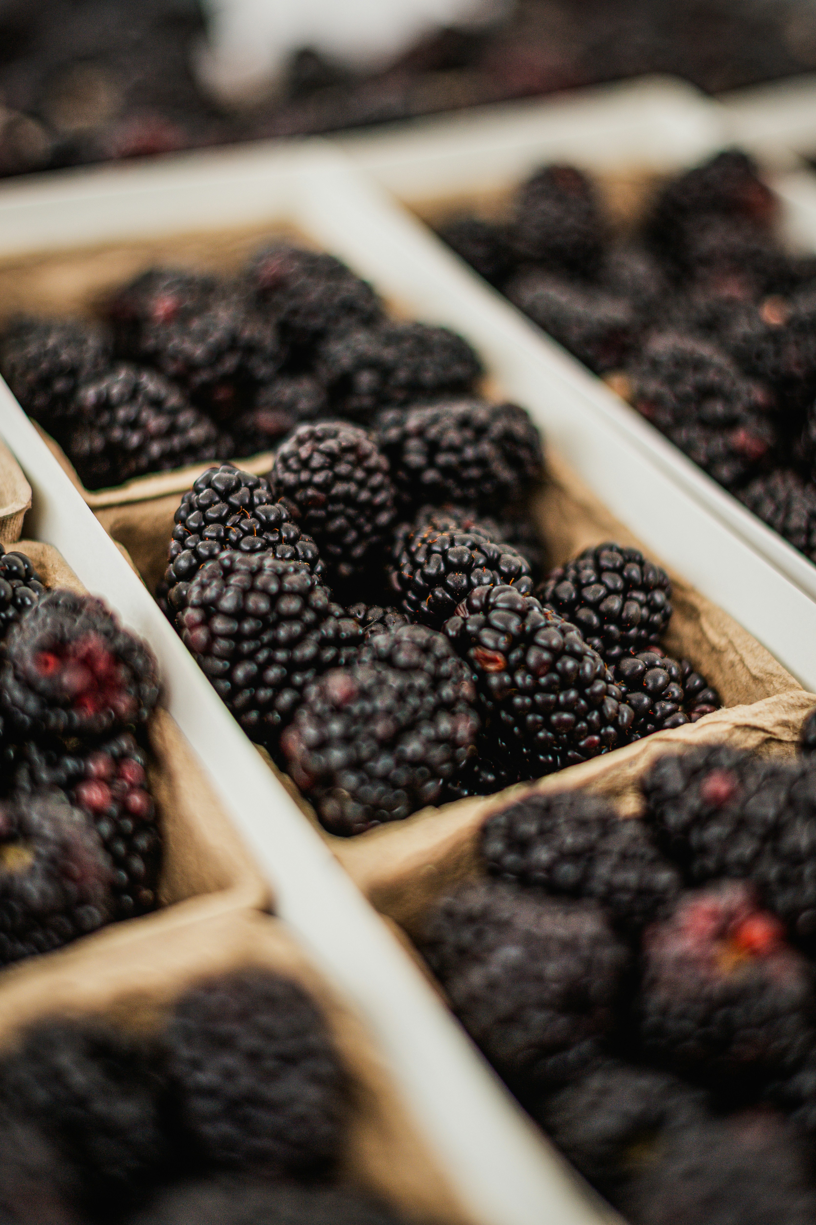 Photo by timmossholder