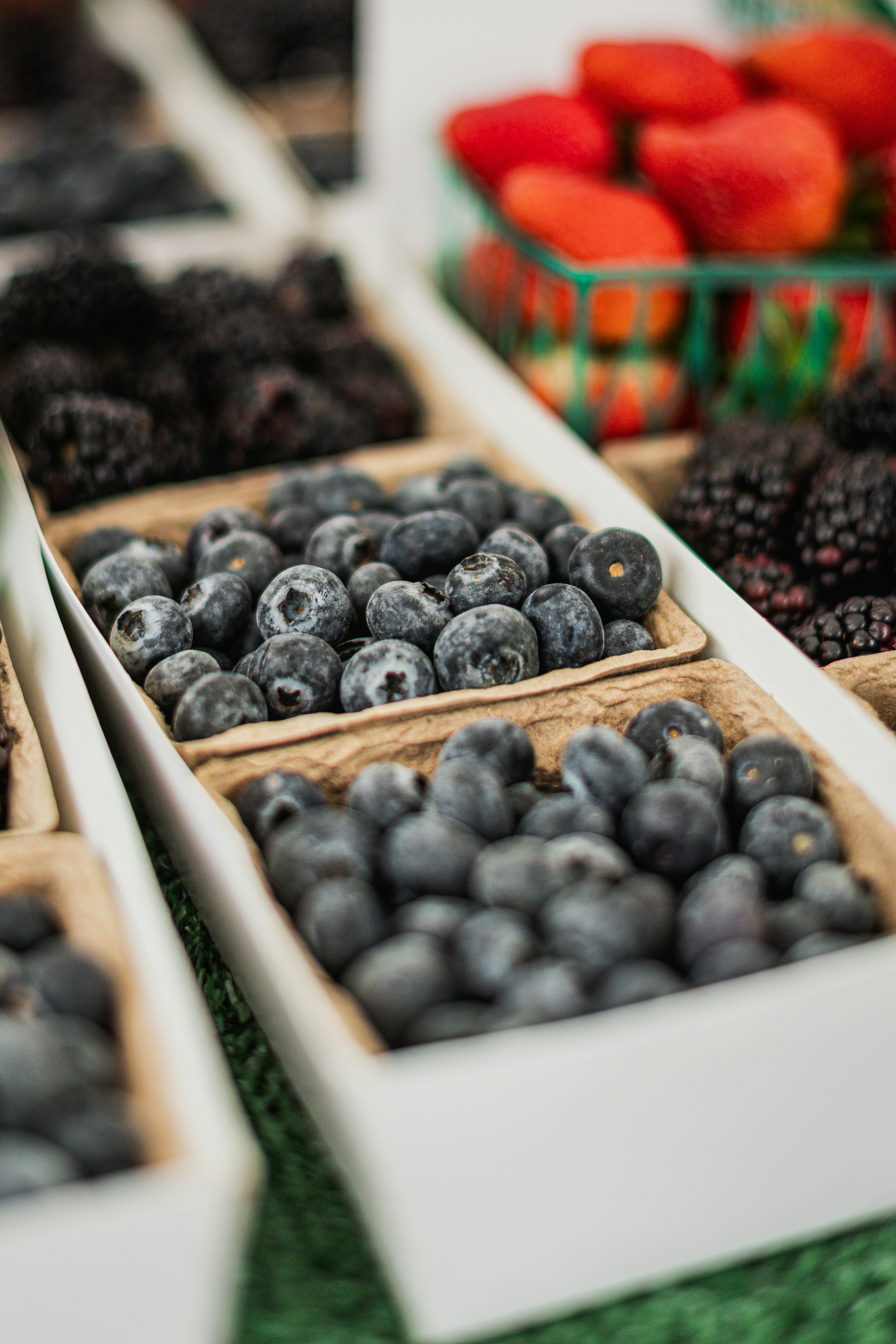 Photo by timmossholder