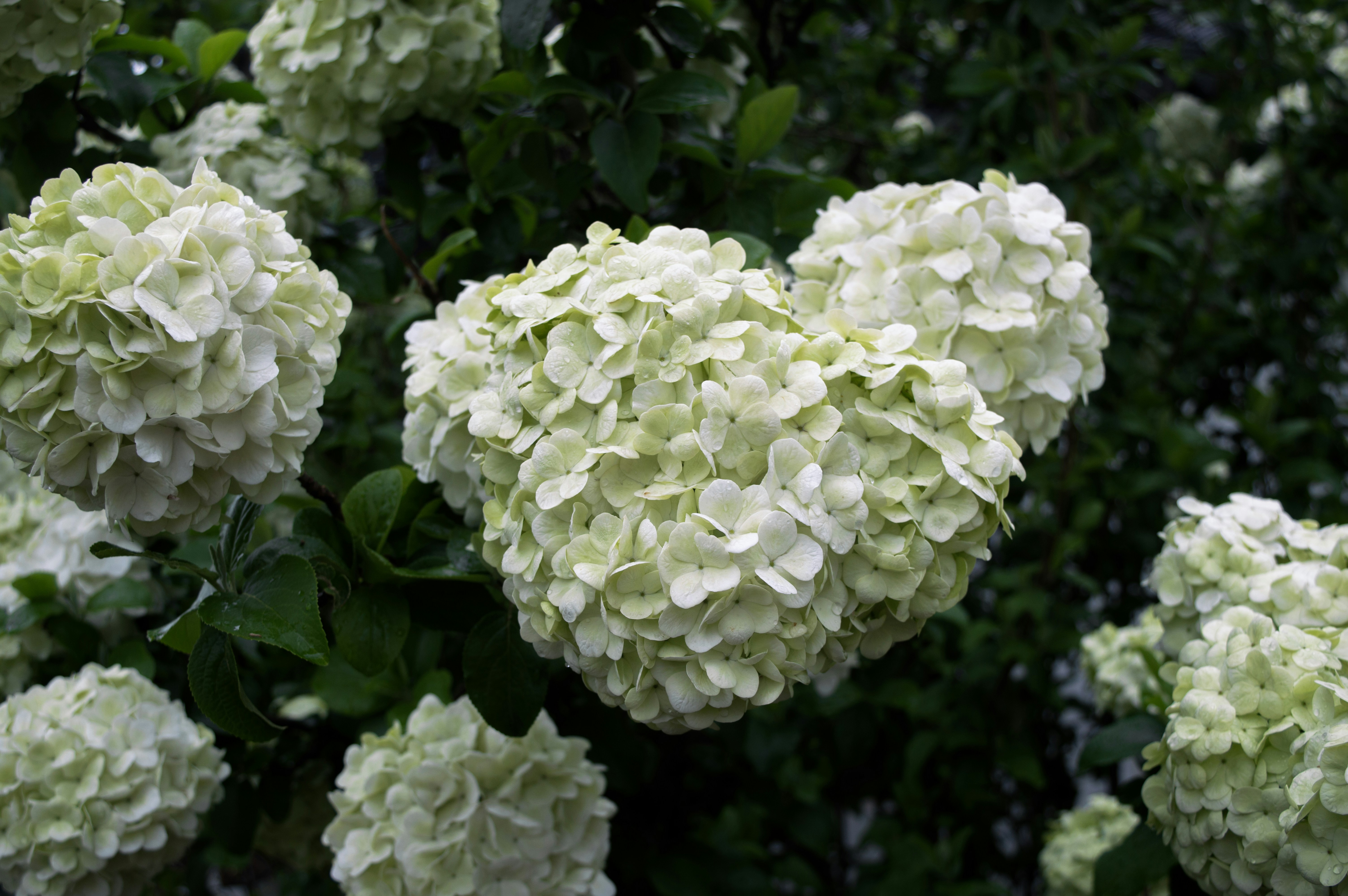 Photo by xiakuangkuang