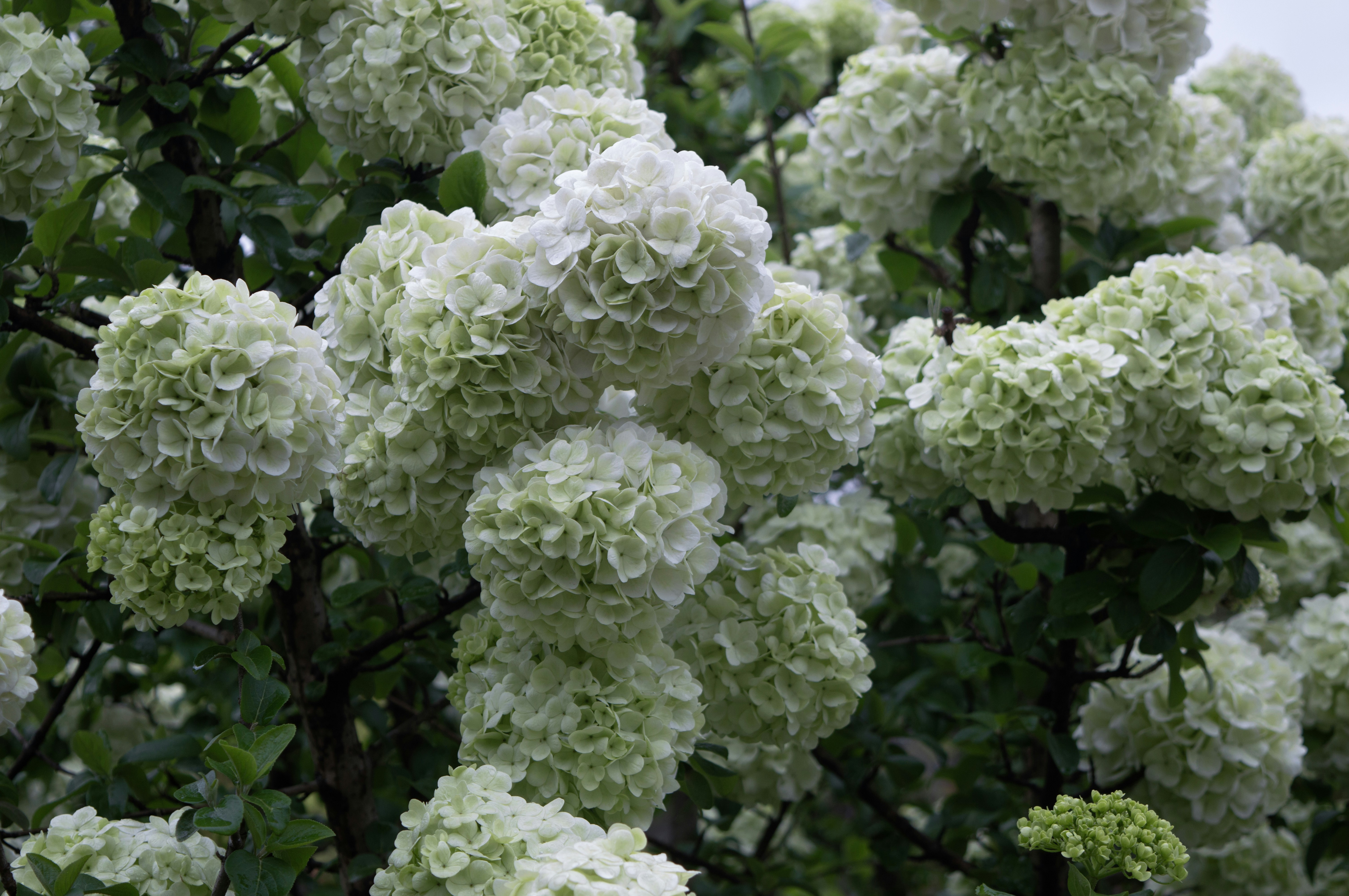 Photo by xiakuangkuang