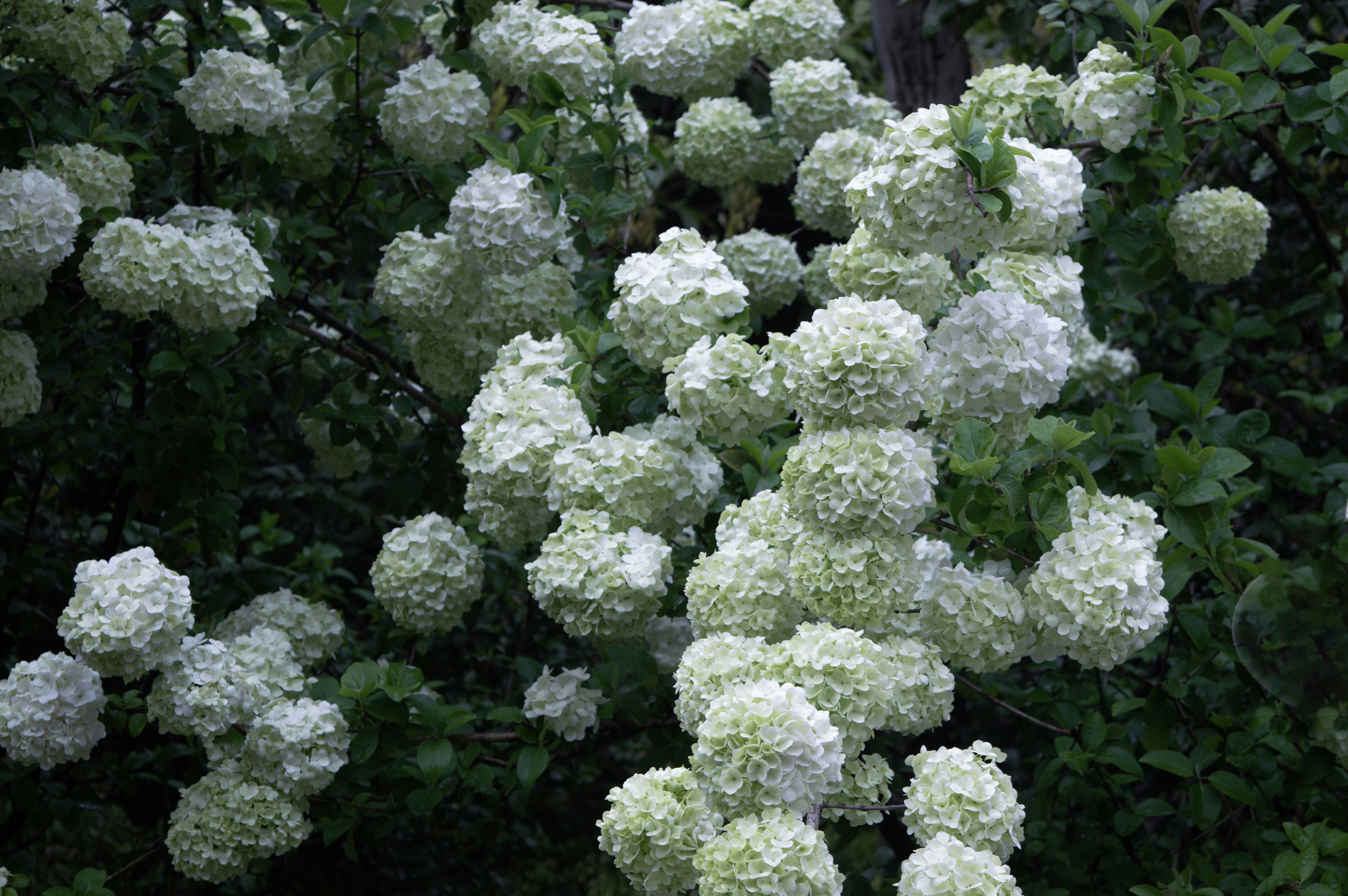 Photo by xiakuangkuang