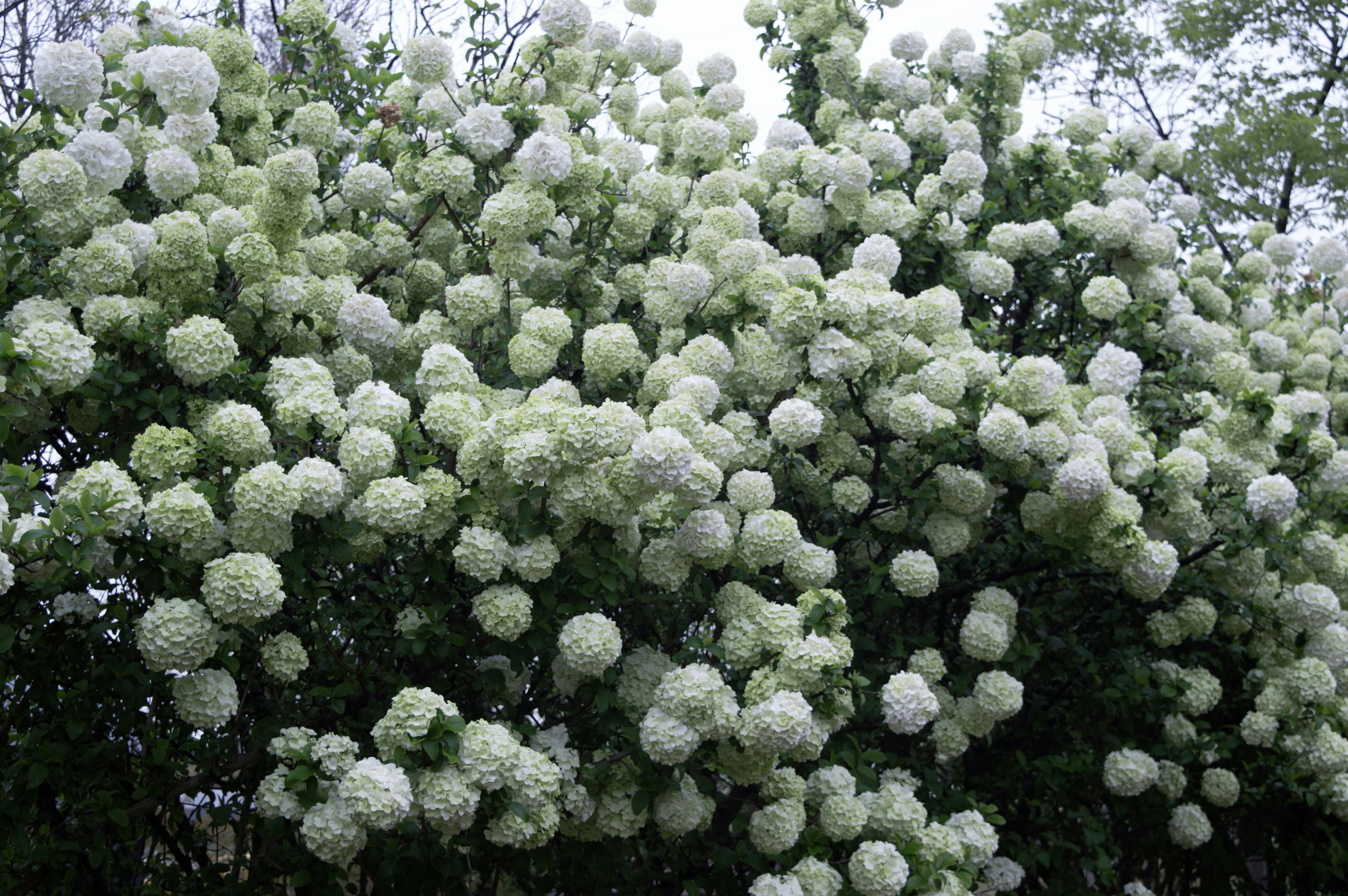 Photo by xiakuangkuang