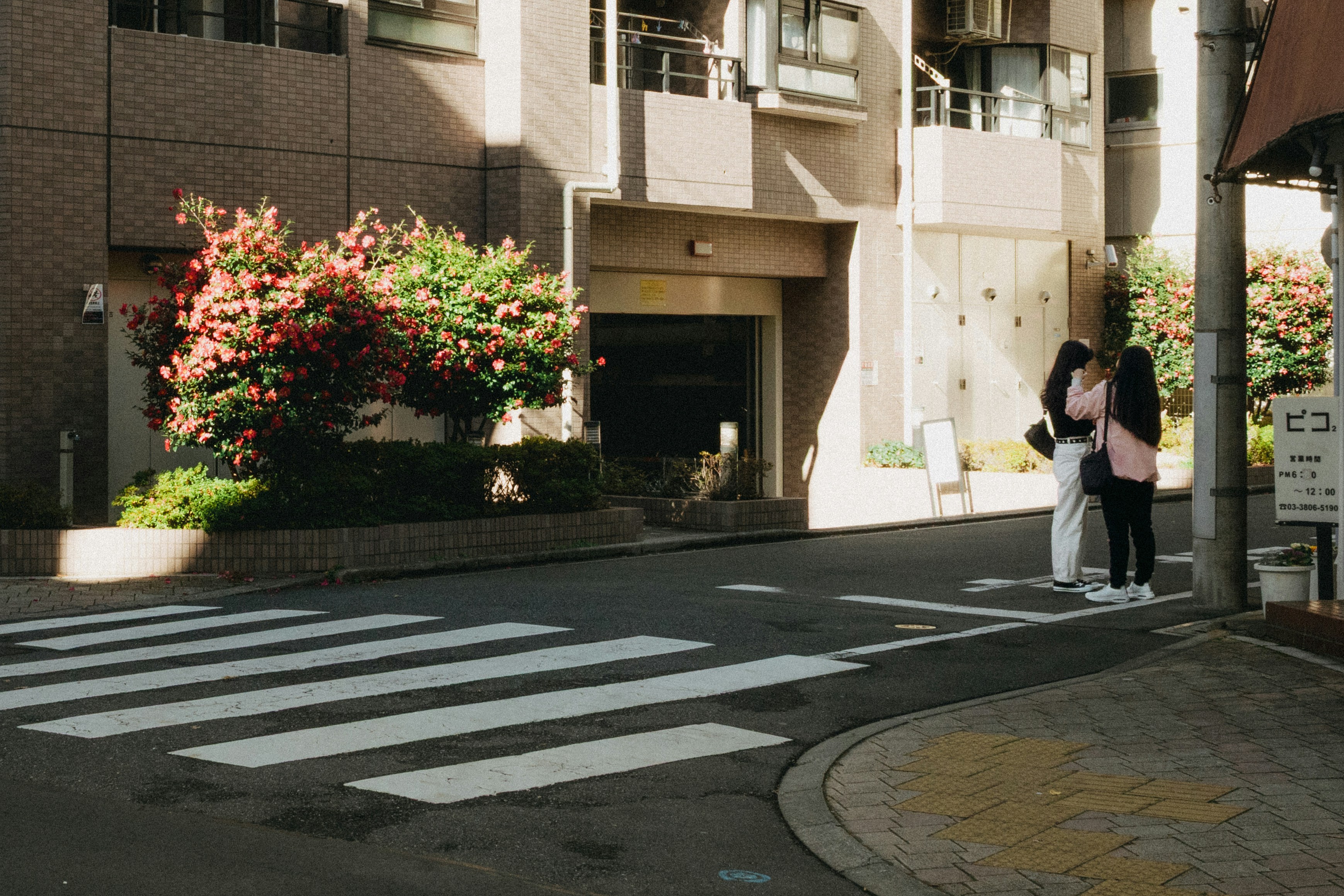 Photo of Two people stand near a crosswalk on a sunny day. by Paul Yong