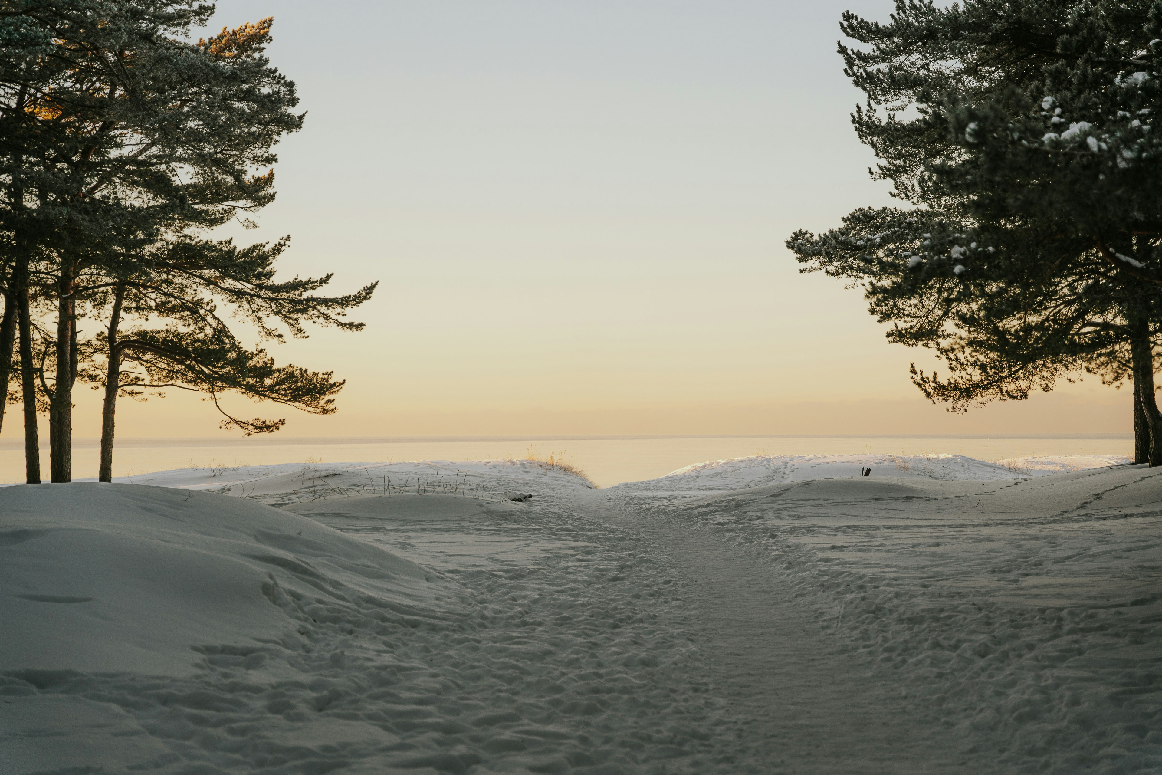 Snowy path leading to a calm ocean at sunset