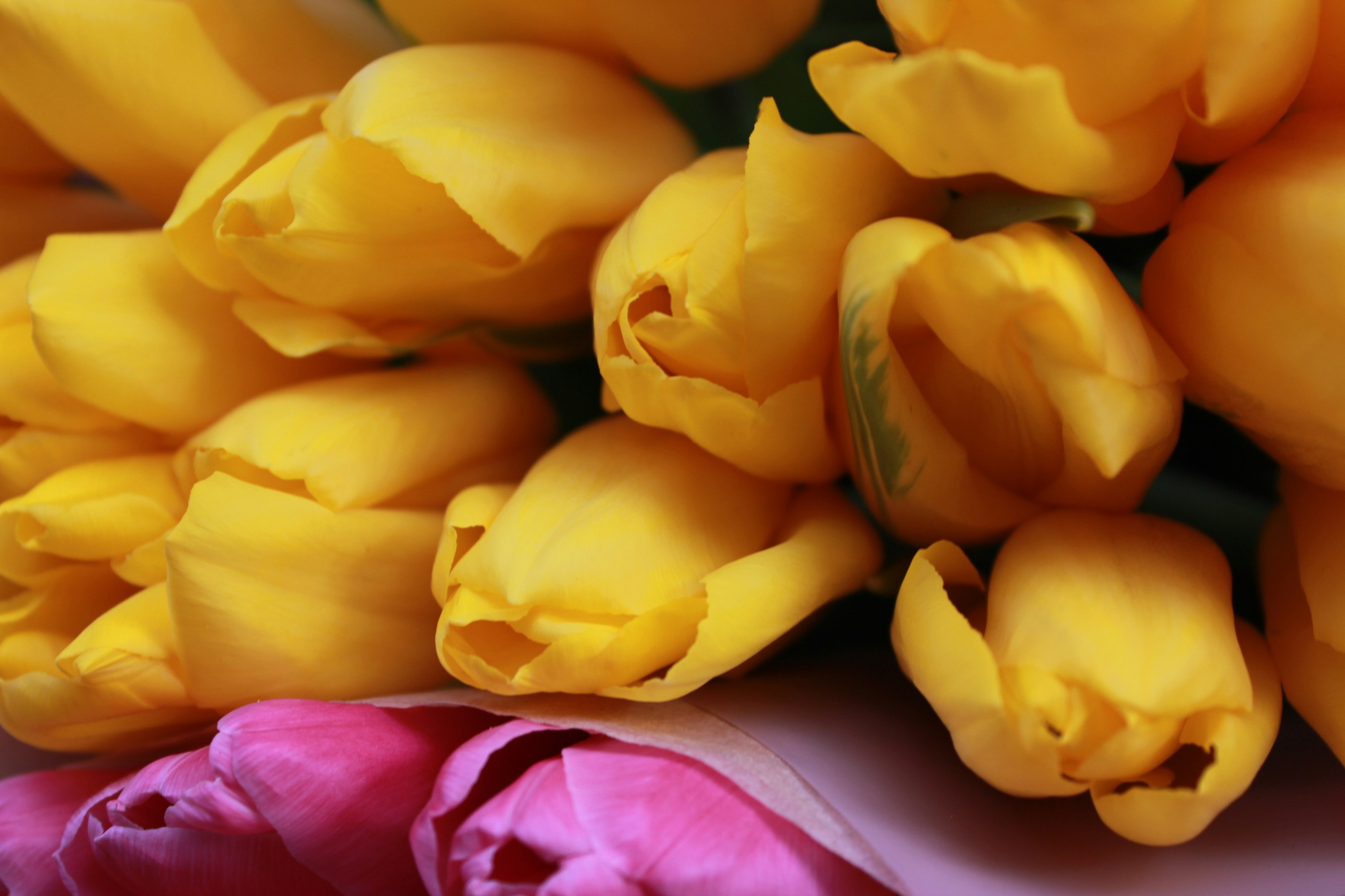 Photo by dareartworks