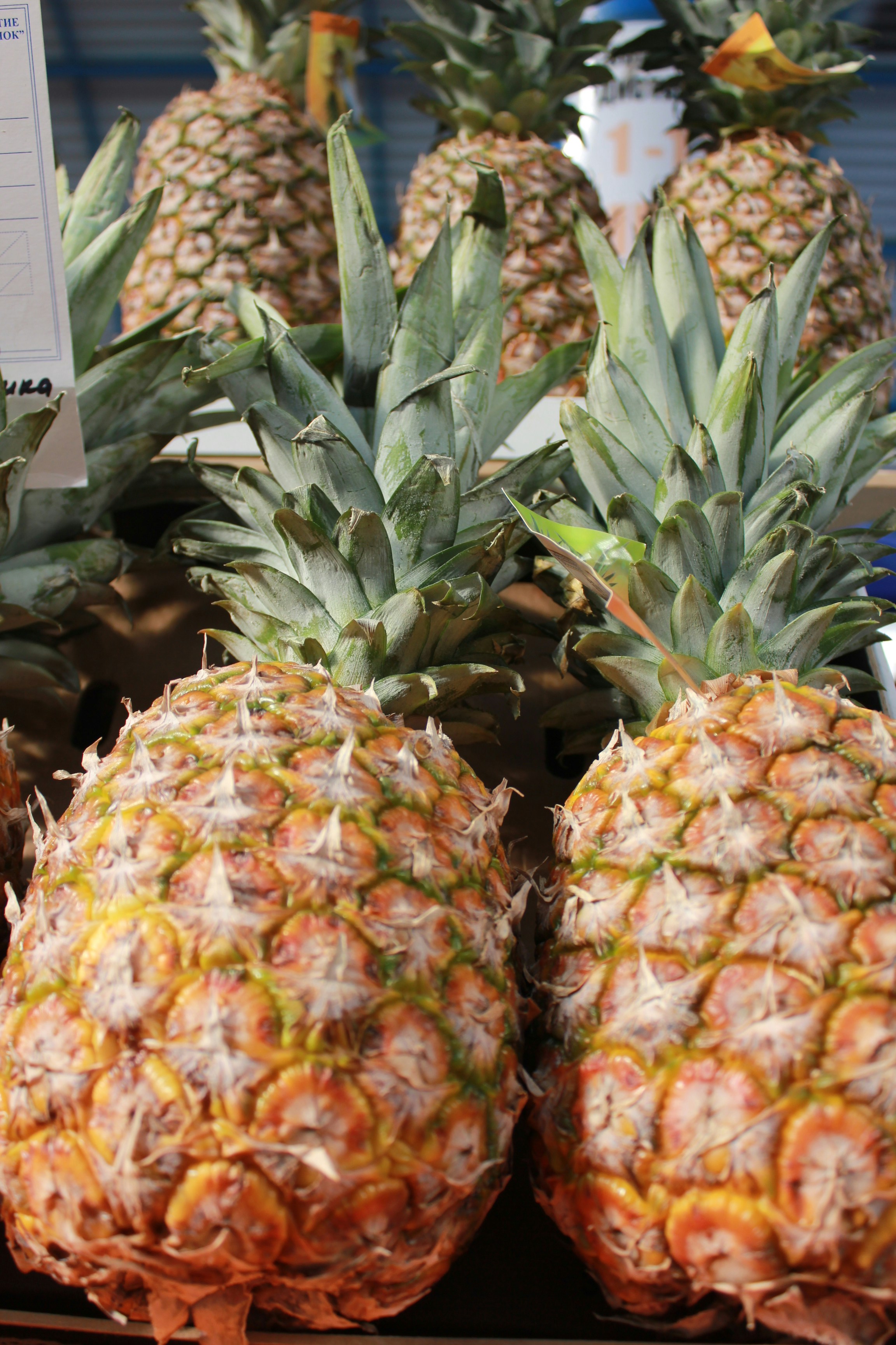 Photo by dareartworks