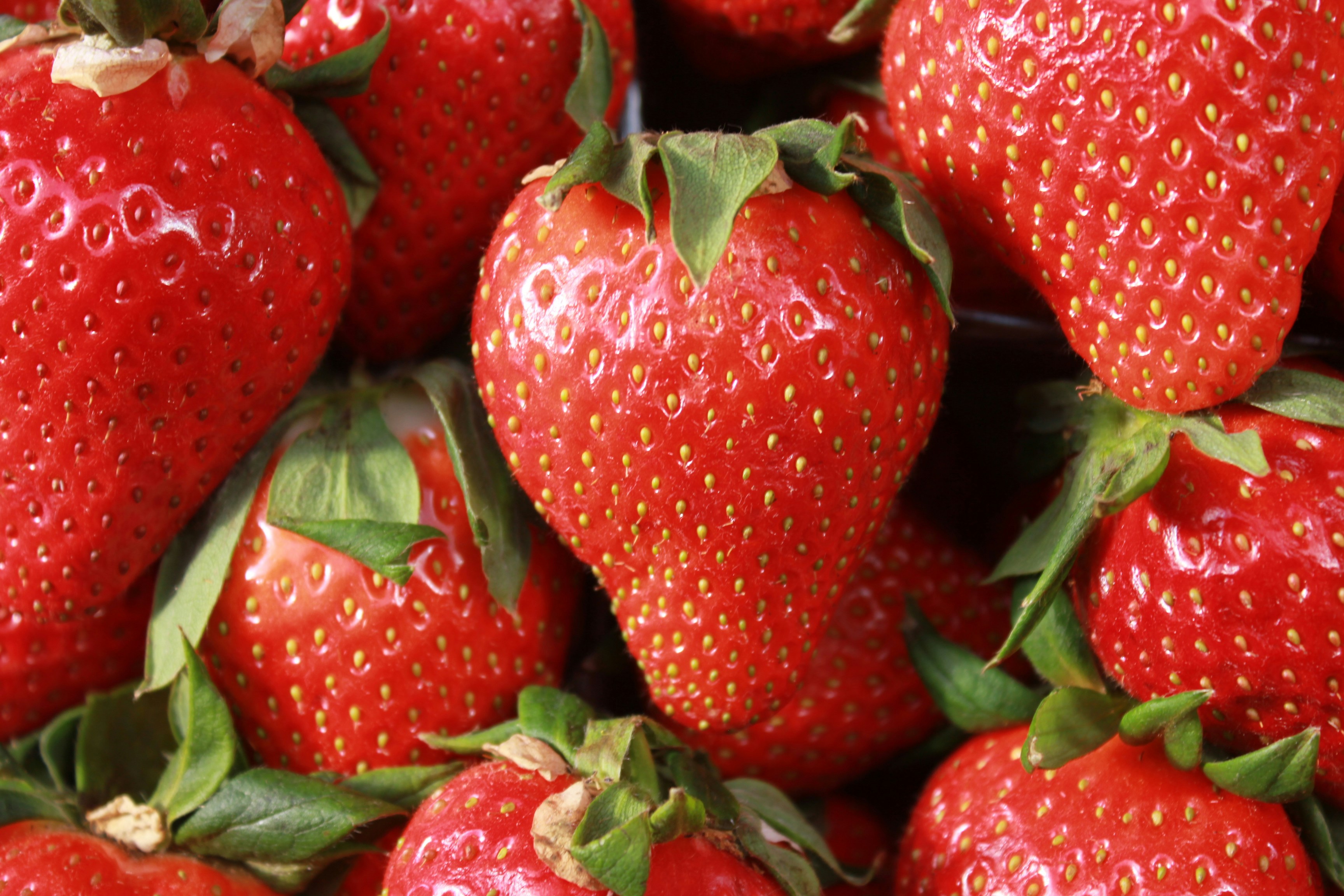 Photo by dareartworks