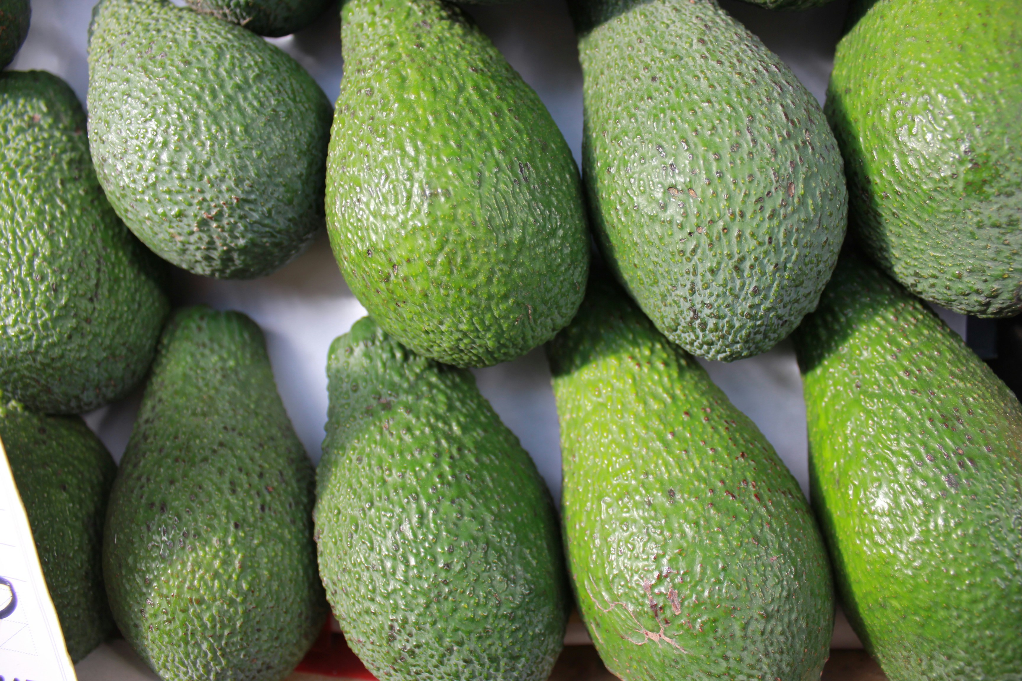 Photo by dareartworks