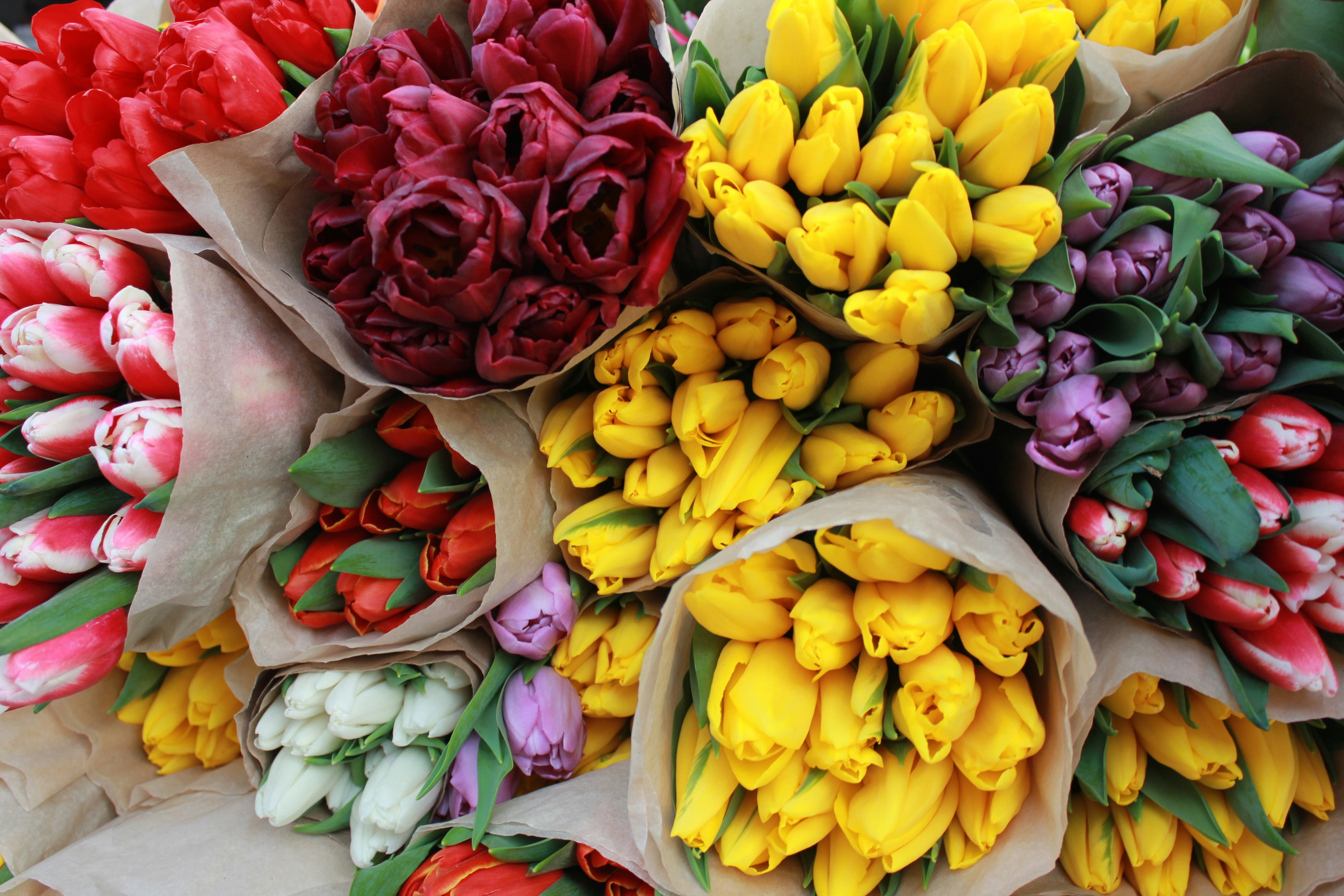 Photo by dareartworks