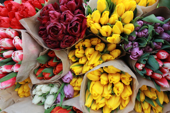 Bouquets of colorful tulips wrapped in paper.